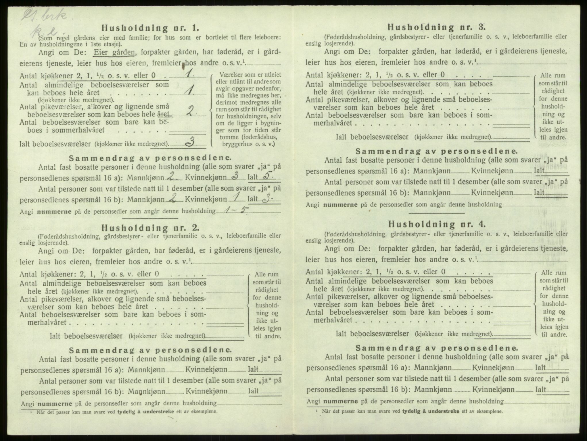 SAB, 1920 census for Lærdal, 1920, p. 302