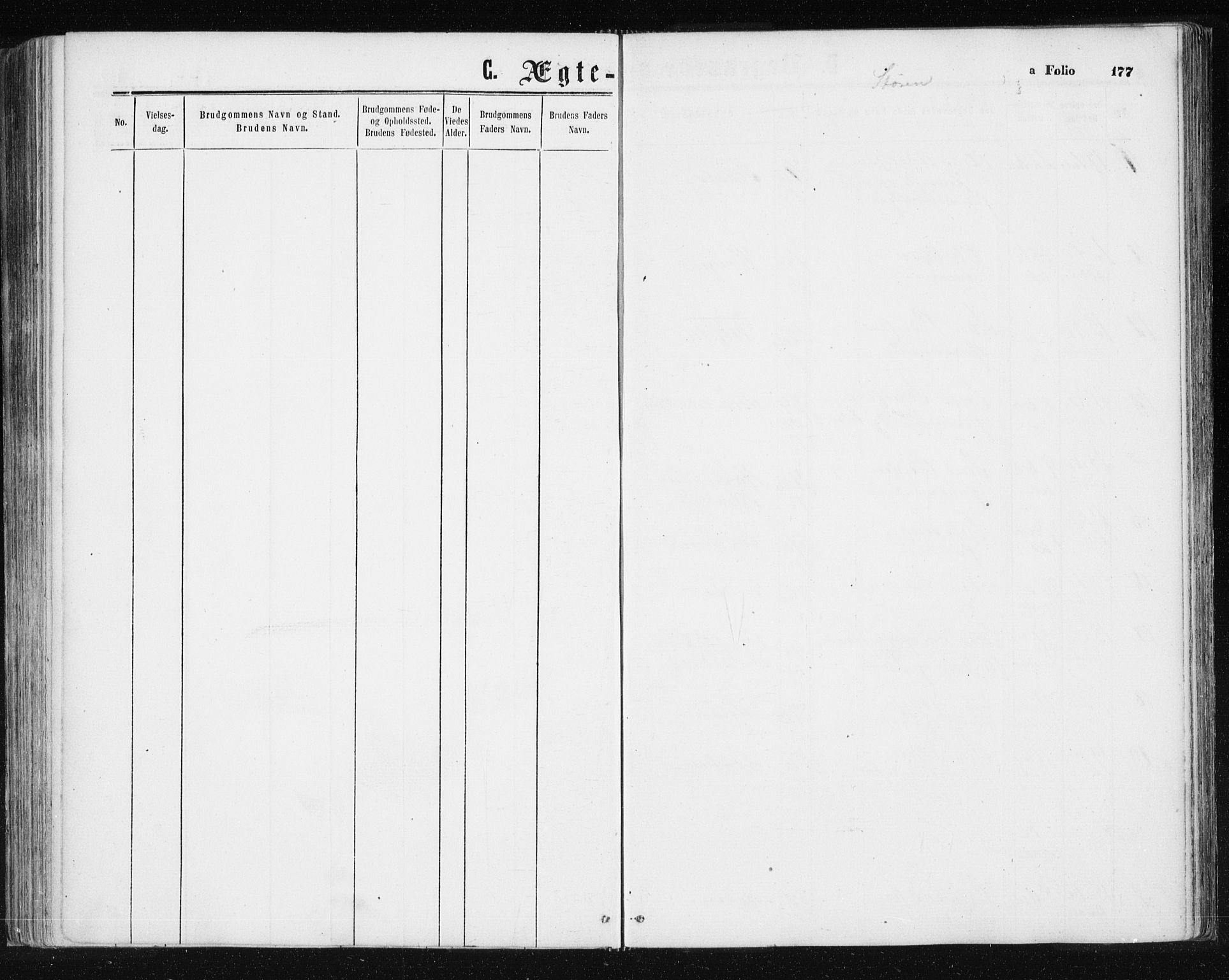 Ministerialprotokoller, klokkerbøker og fødselsregistre - Sør-Trøndelag, AV/SAT-A-1456/687/L1001: Parish register (official) no. 687A07, 1863-1878, p. 177