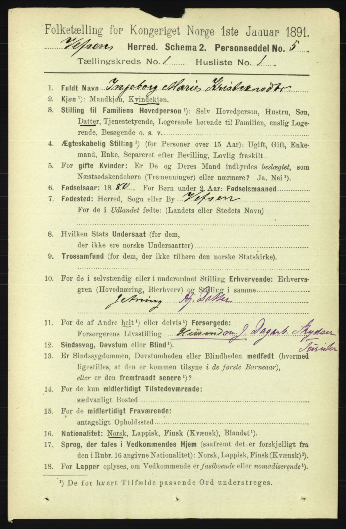 RA, 1891 census for 1824 Vefsn, 1891, p. 100