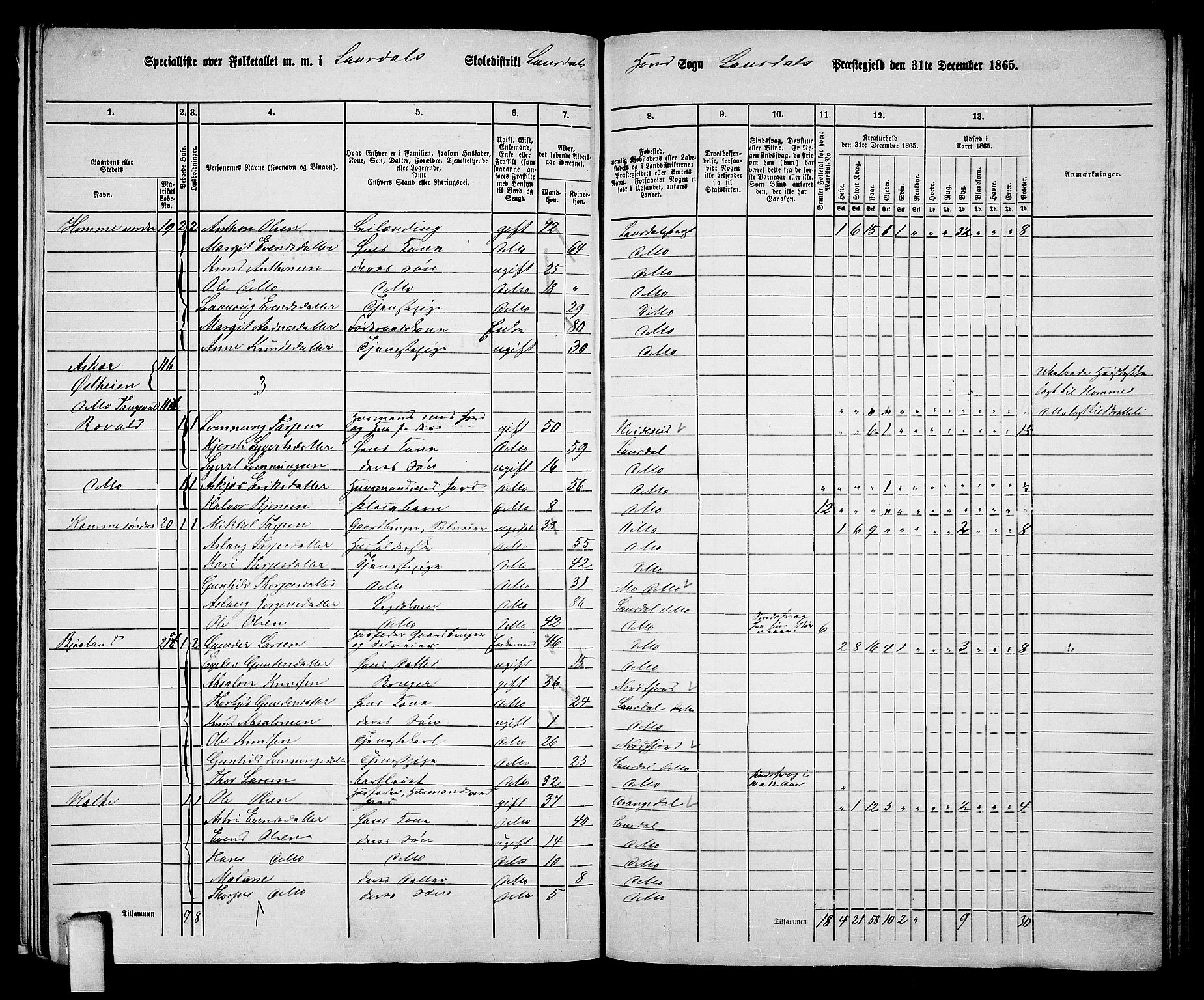 RA, 1865 census for Lårdal, 1865, p. 20