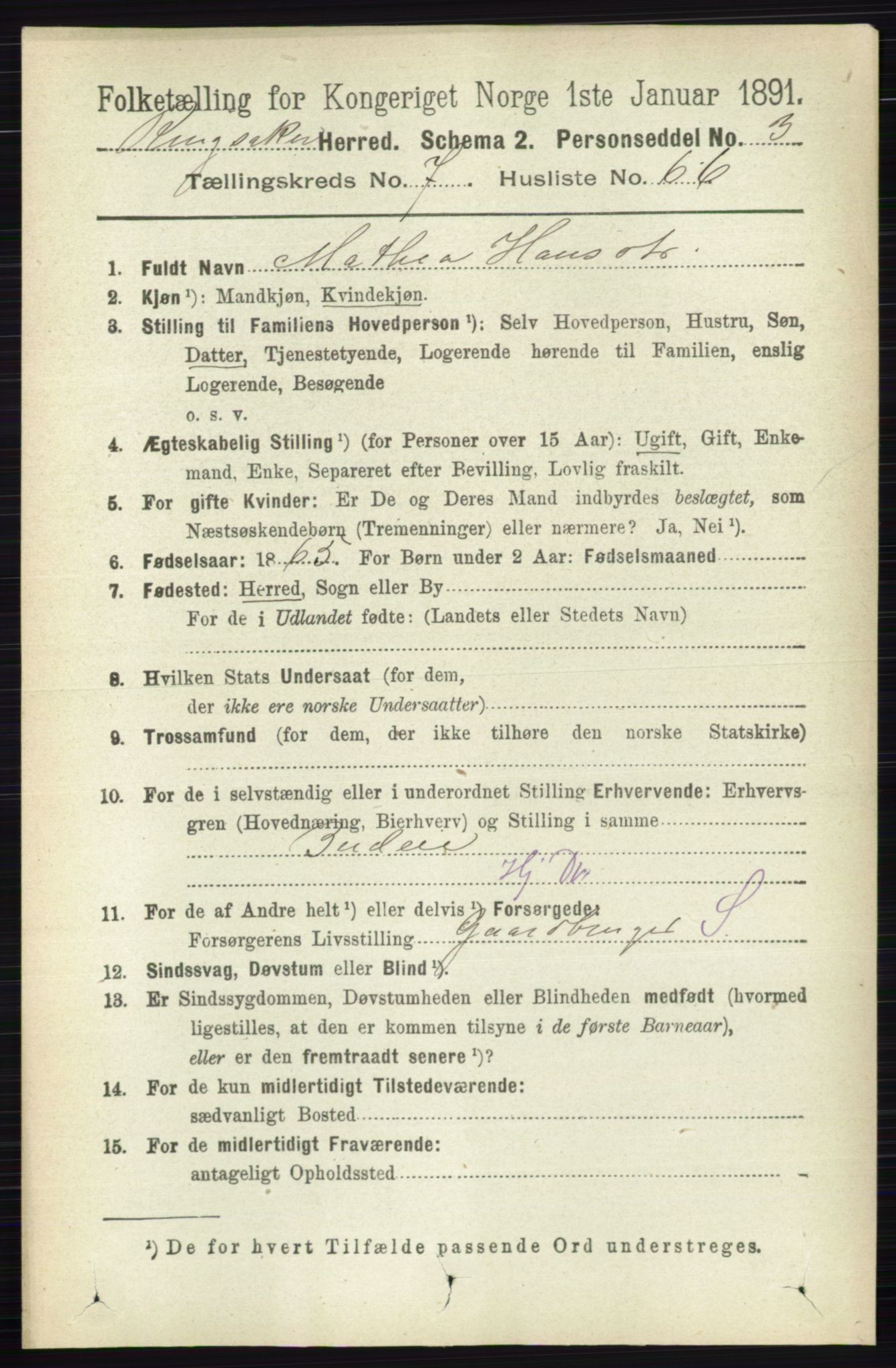 RA, 1891 census for 0412 Ringsaker, 1891, p. 4325