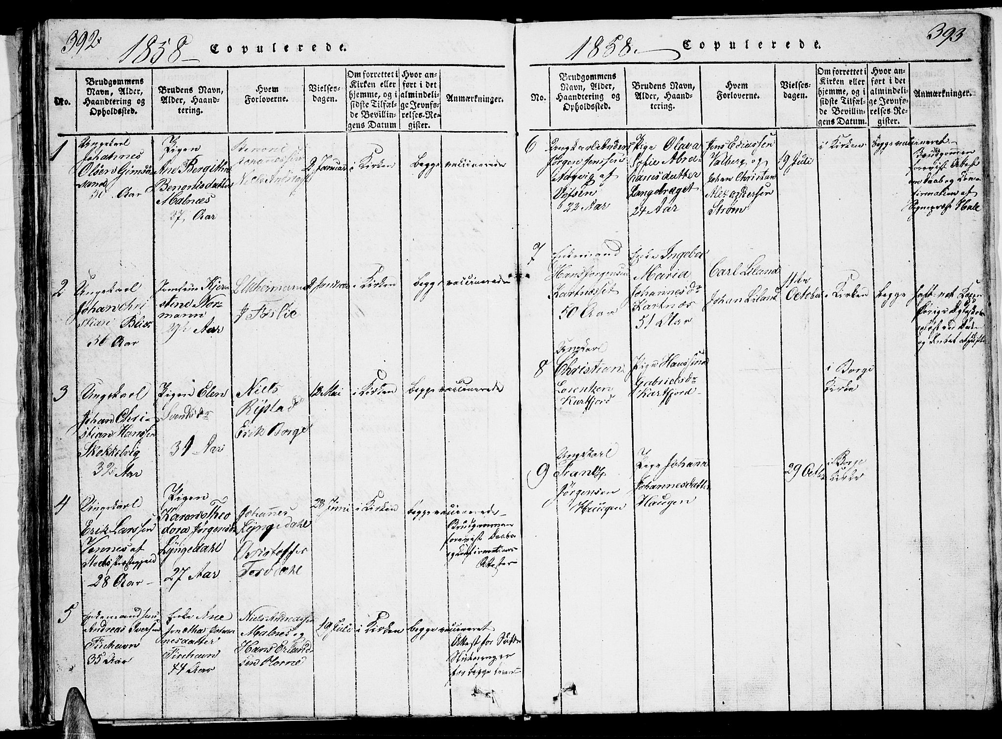 Ministerialprotokoller, klokkerbøker og fødselsregistre - Nordland, SAT/A-1459/884/L1195: Parish register (copy) no. 884C01, 1837-1867, p. 392-393