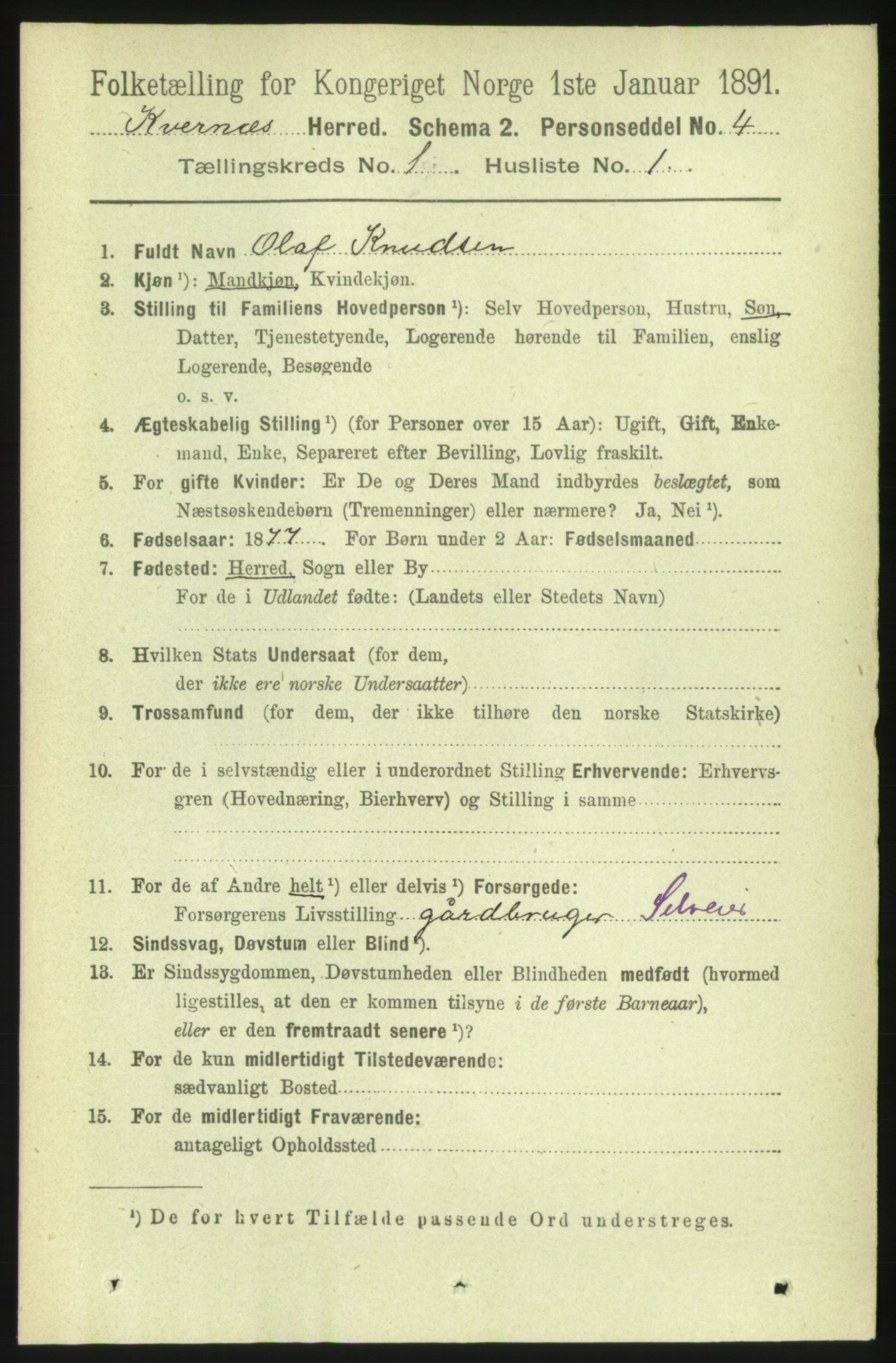 RA, 1891 census for 1553 Kvernes, 1891, p. 121