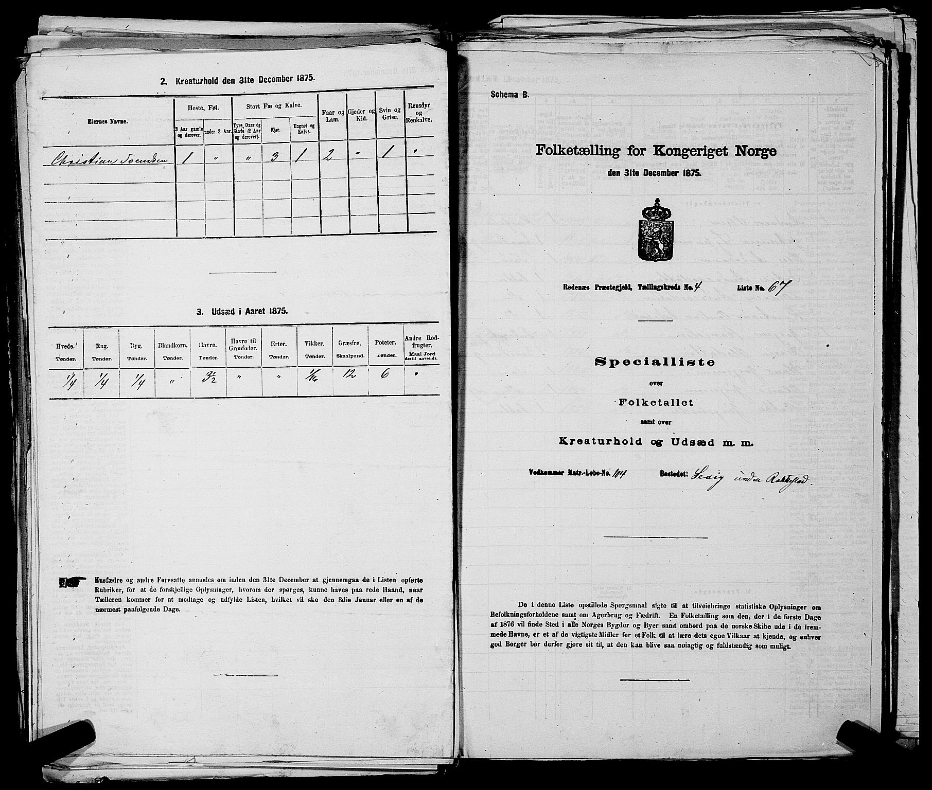 RA, 1875 census for 0120P Rødenes, 1875, p. 641