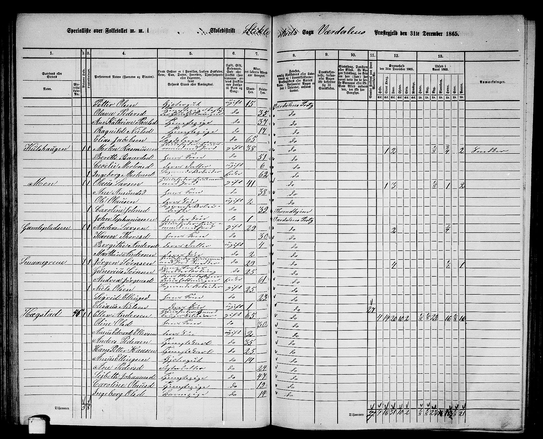 RA, 1865 census for Verdal, 1865, p. 79