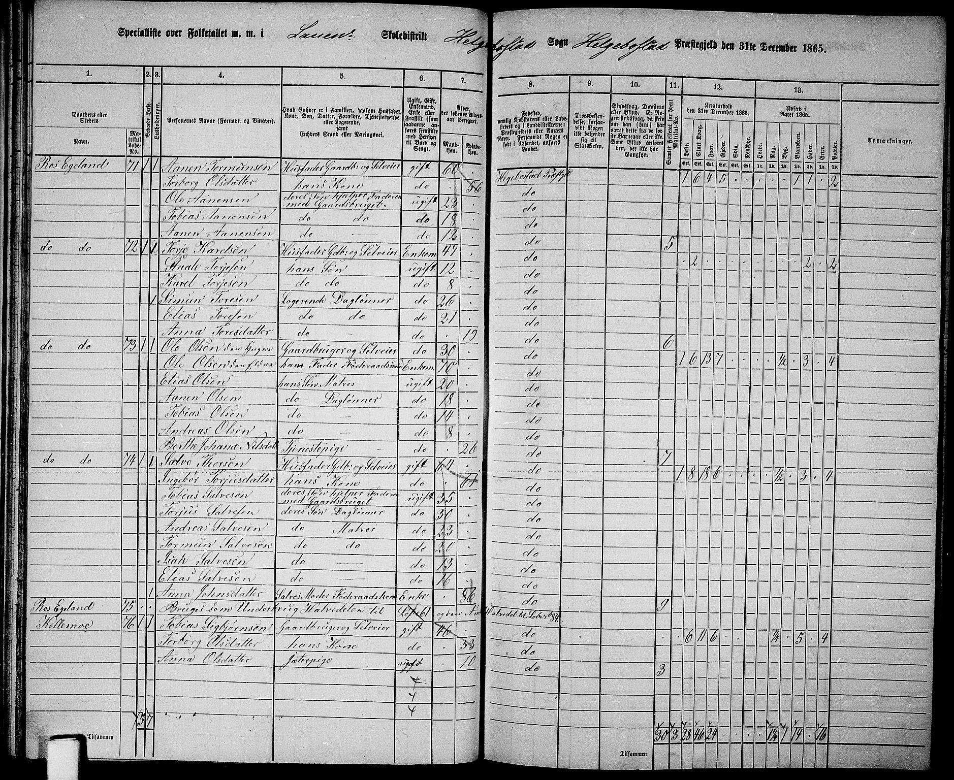 RA, 1865 census for Hægebostad, 1865, p. 47