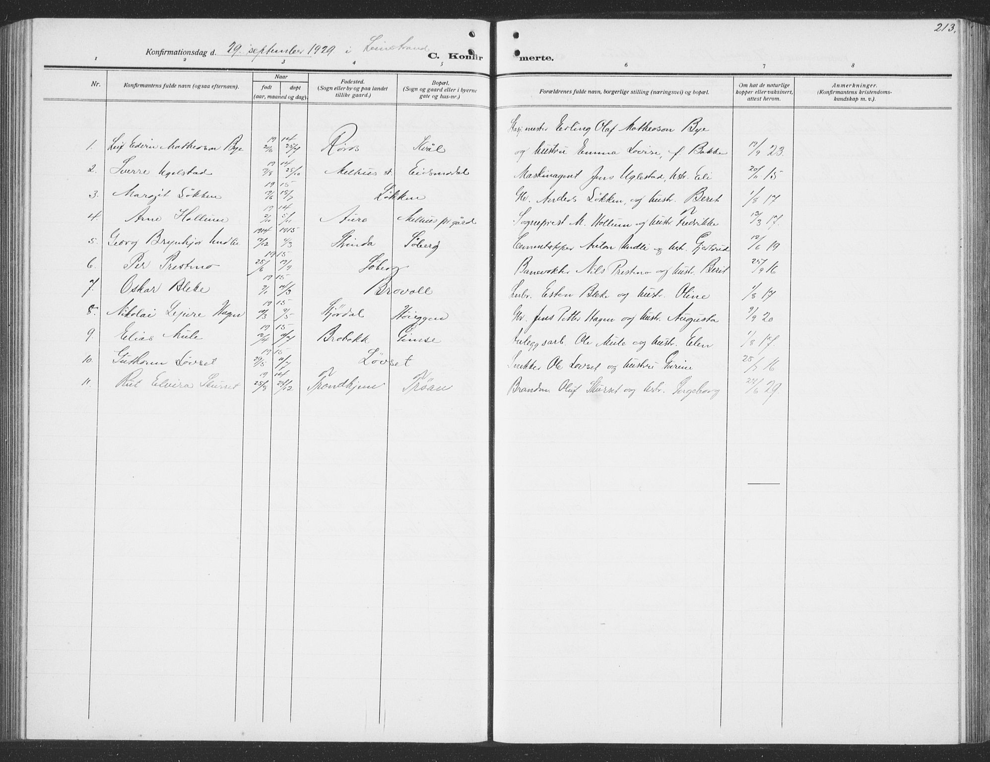 Ministerialprotokoller, klokkerbøker og fødselsregistre - Sør-Trøndelag, AV/SAT-A-1456/691/L1095: Parish register (copy) no. 691C06, 1912-1933, p. 213