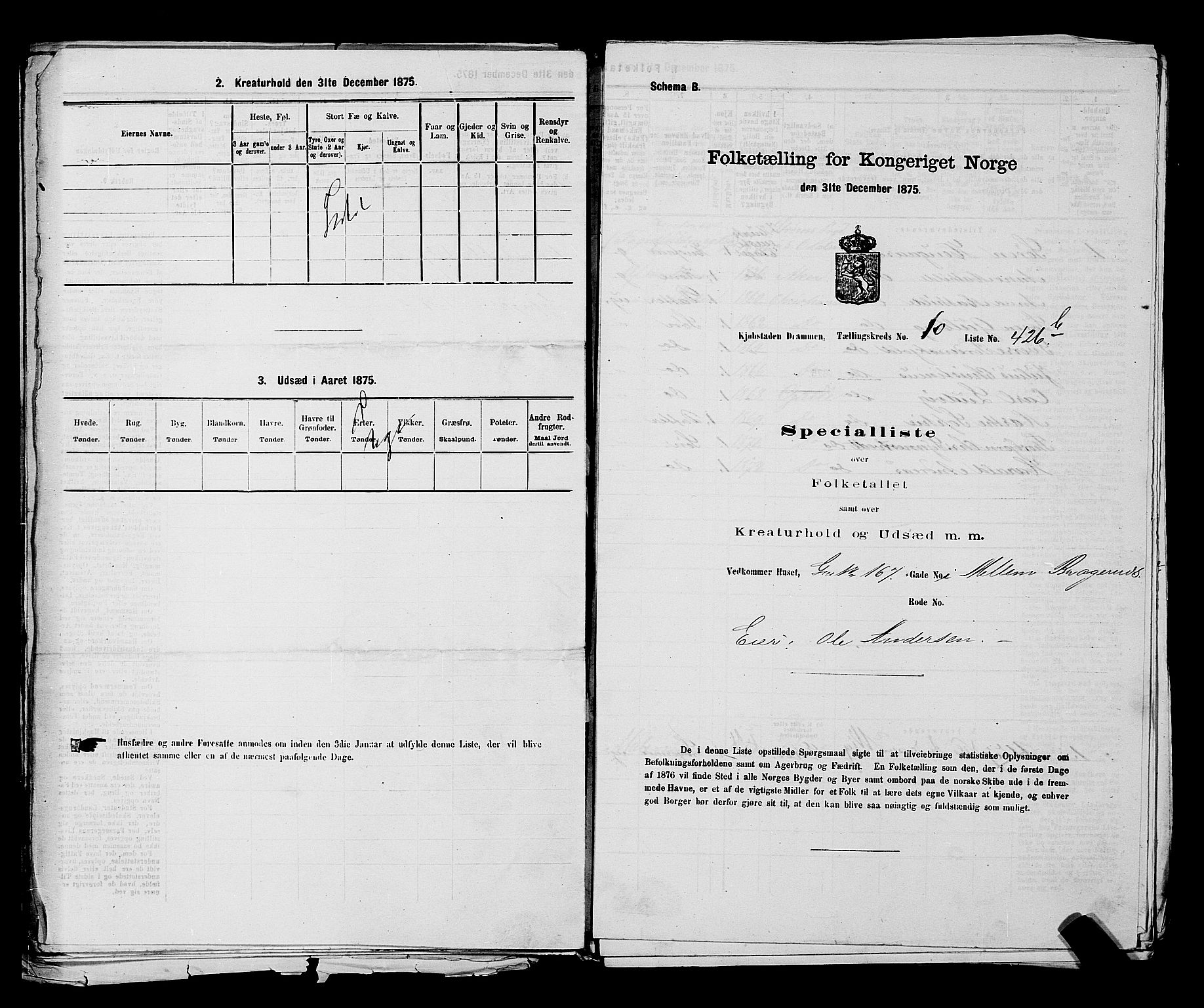 SAKO, 1875 census for 0602 Drammen, 1875, p. 972