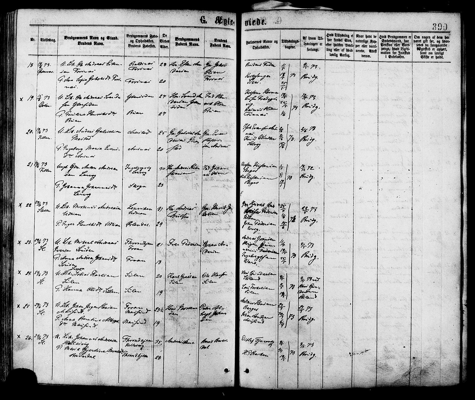 Ministerialprotokoller, klokkerbøker og fødselsregistre - Sør-Trøndelag, SAT/A-1456/634/L0532: Parish register (official) no. 634A08, 1871-1881, p. 390