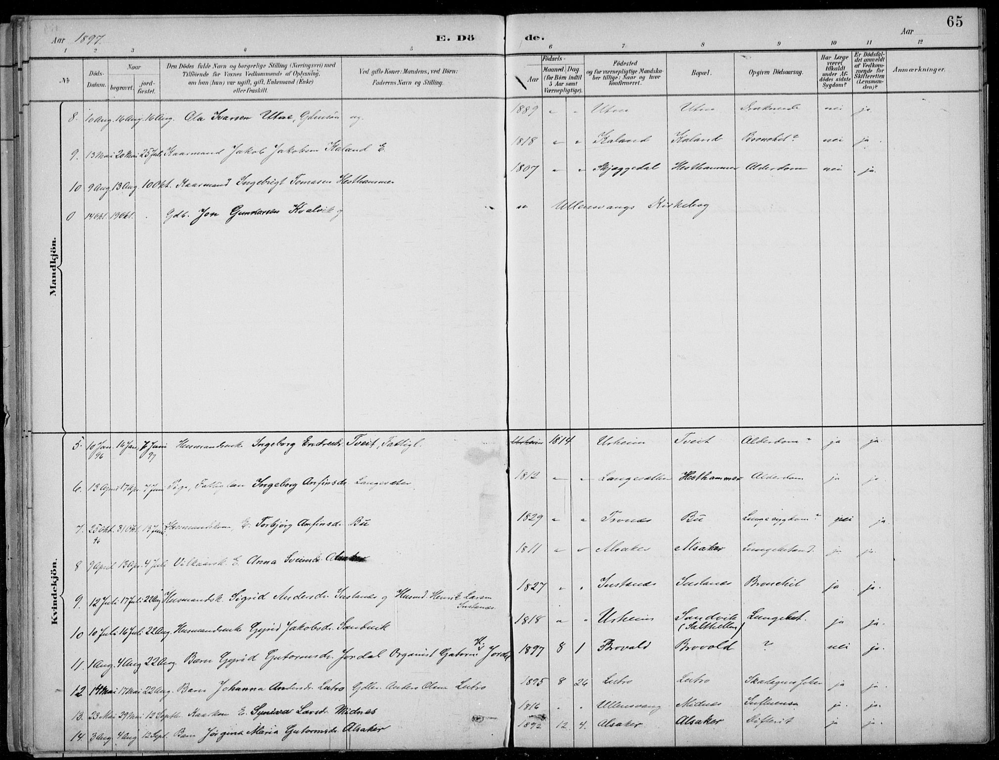 Ullensvang sokneprestembete, AV/SAB-A-78701/H/Haa: Parish register (official) no. E  3, 1883-1916, p. 65