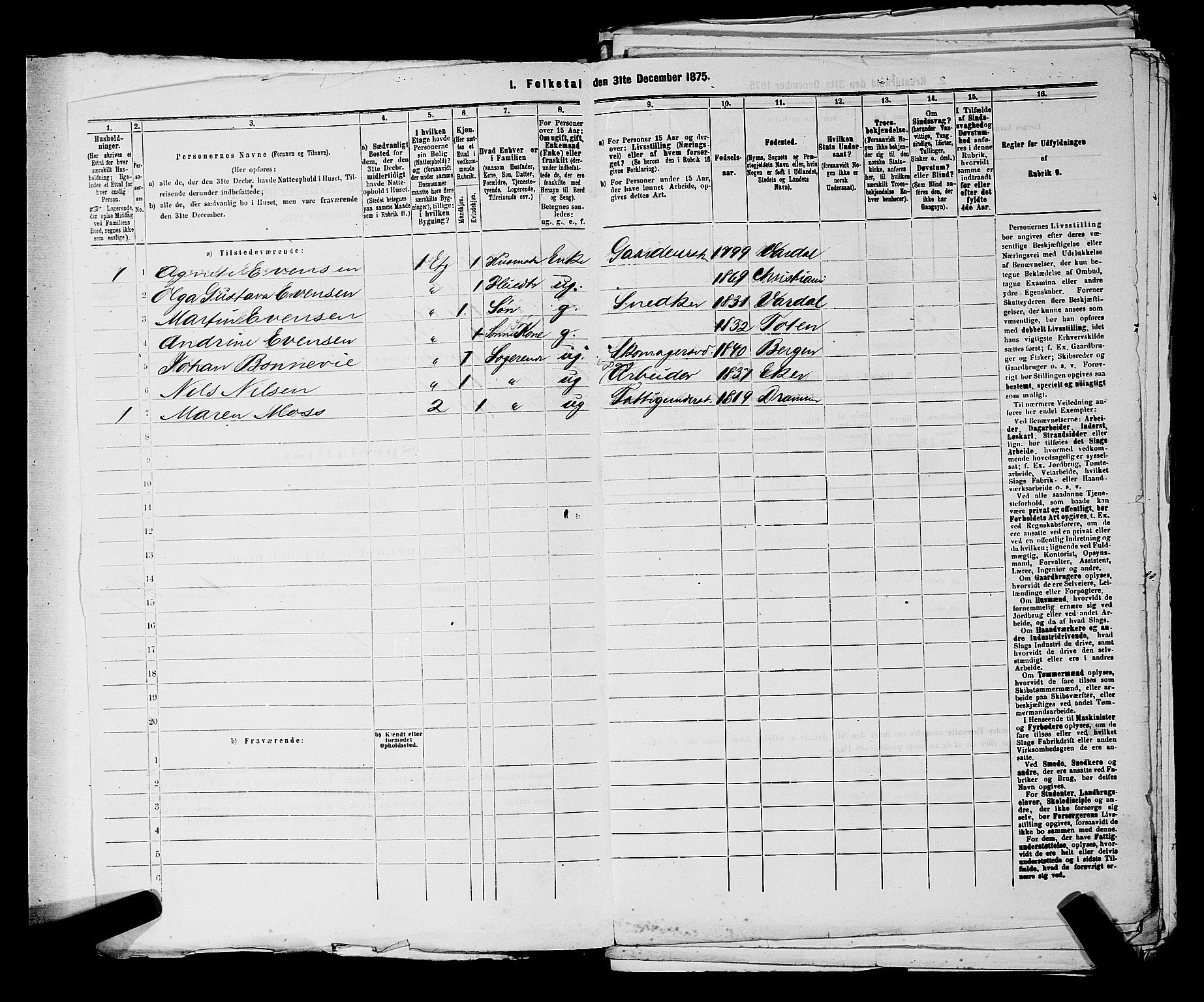 SAKO, 1875 census for 0602 Drammen, 1875, p. 807