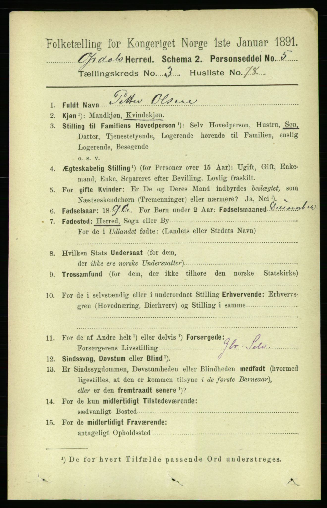 RA, 1891 census for 1634 Oppdal, 1891, p. 1717