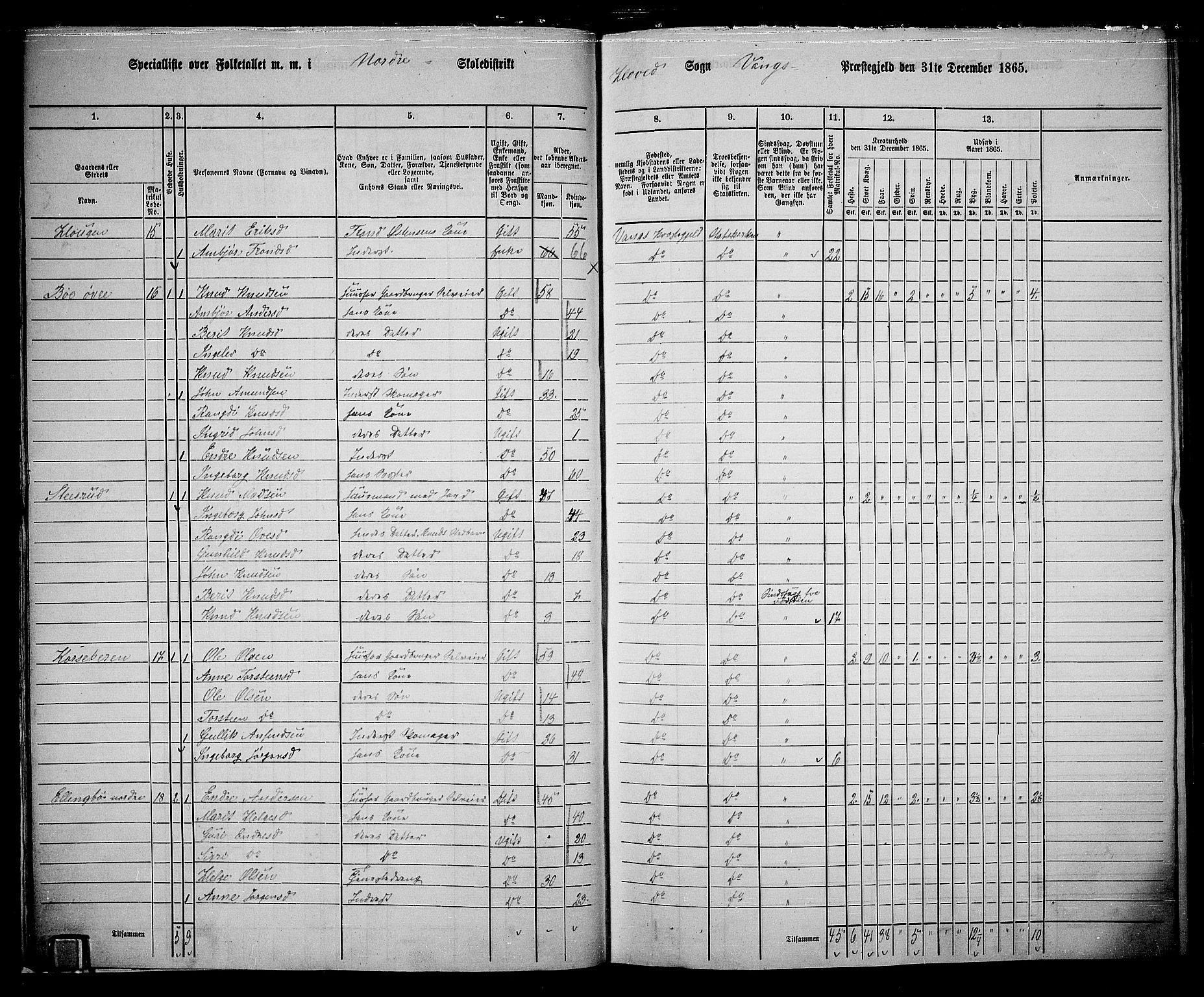 RA, 1865 census for Vang, 1865, p. 18