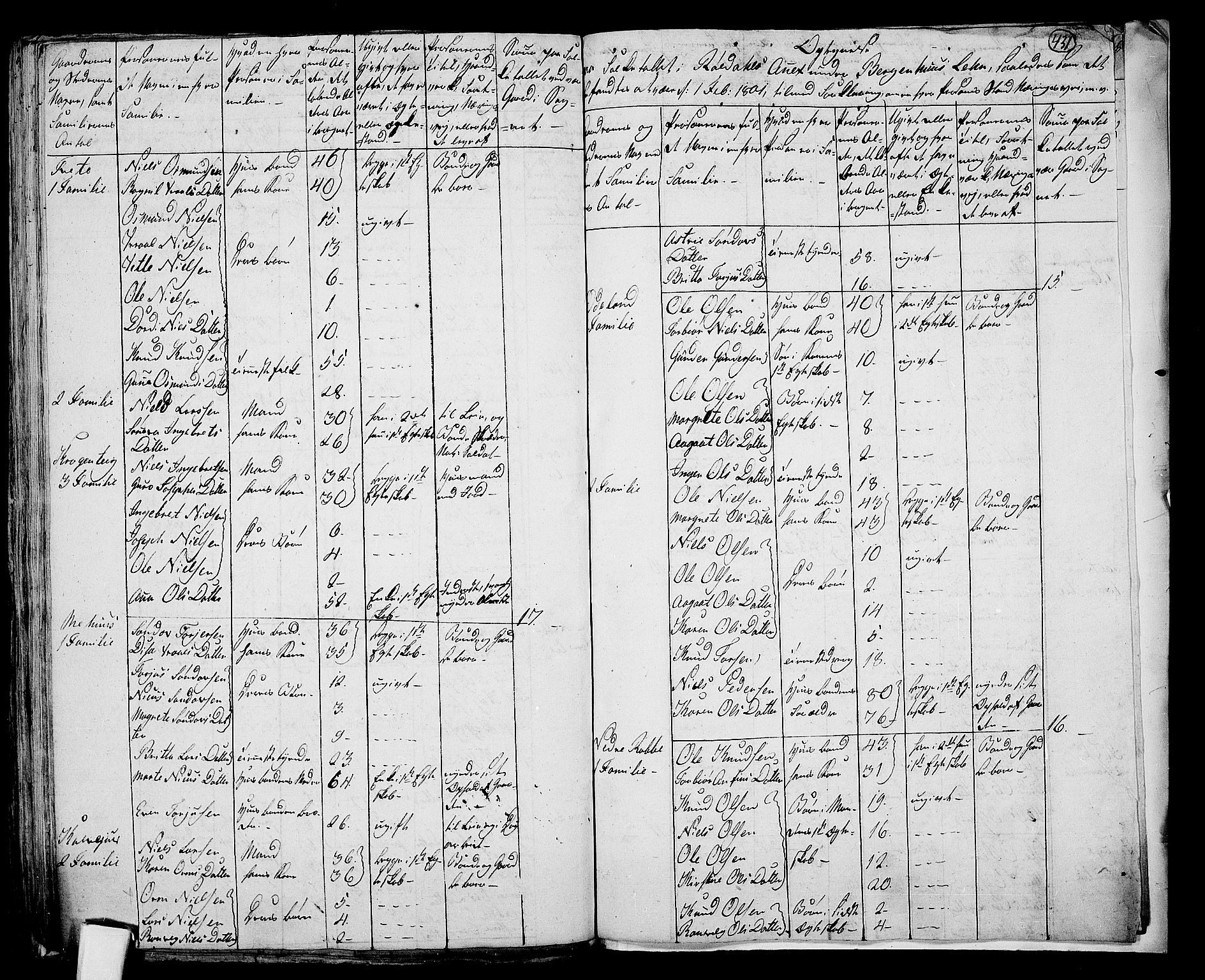 RA, 1801 census for 1134P Suldal, 1801, p. 430b-431a