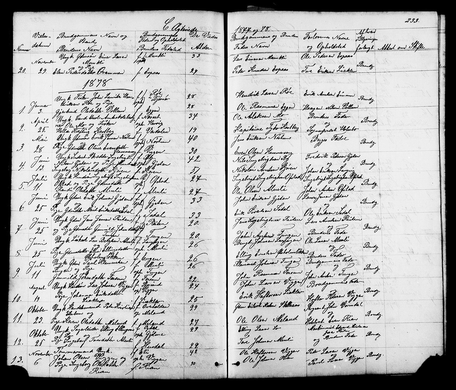 Ministerialprotokoller, klokkerbøker og fødselsregistre - Sør-Trøndelag, AV/SAT-A-1456/665/L0777: Parish register (copy) no. 665C02, 1867-1915, p. 233