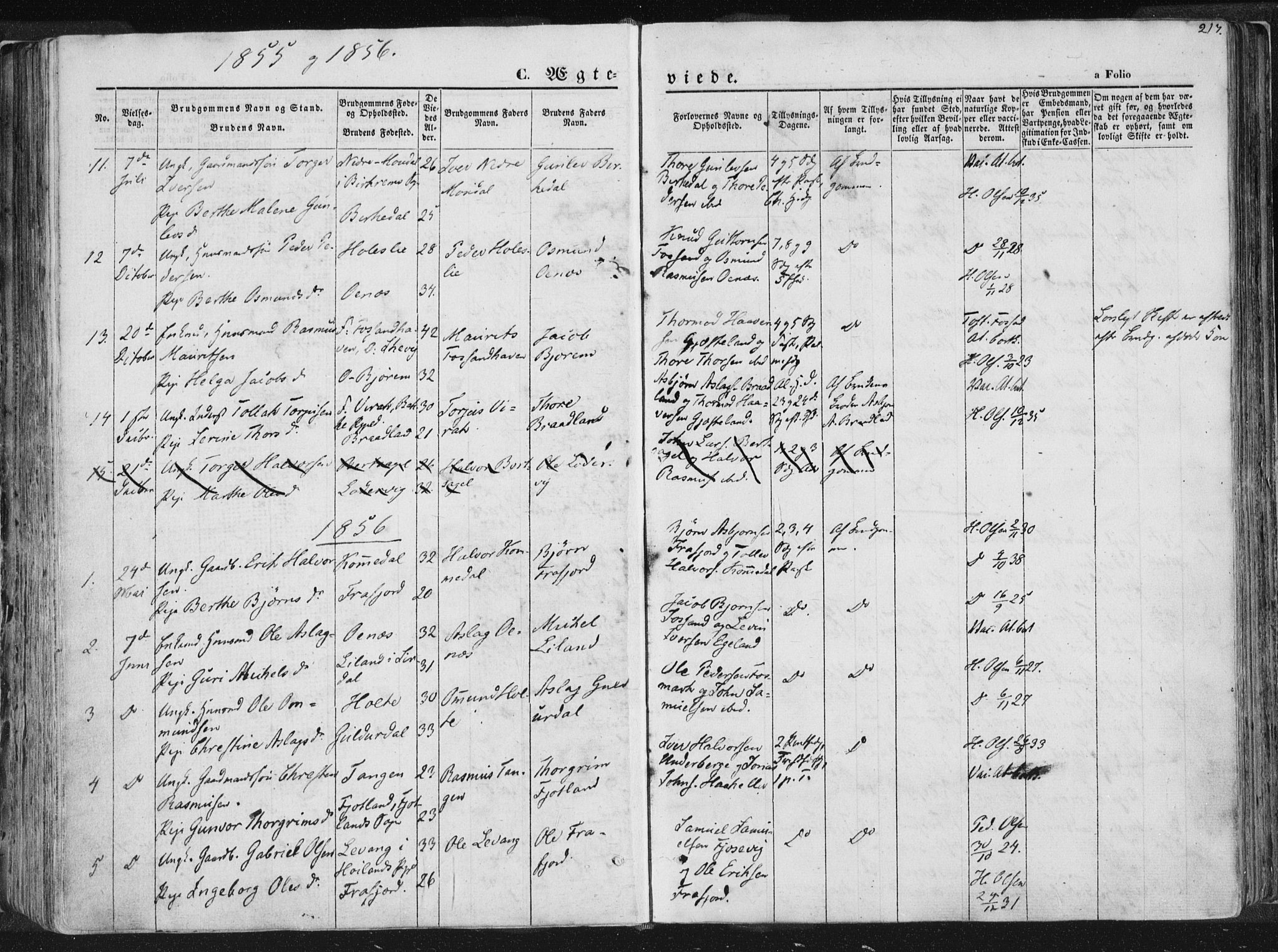Høgsfjord sokneprestkontor, SAST/A-101624/H/Ha/Haa/L0001: Parish register (official) no. A 1, 1854-1875, p. 217