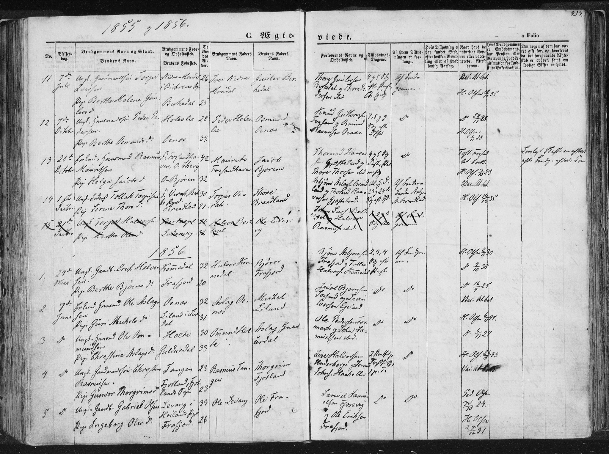 Høgsfjord sokneprestkontor, AV/SAST-A-101624/H/Ha/Haa/L0001: Parish register (official) no. A 1, 1854-1875, p. 217