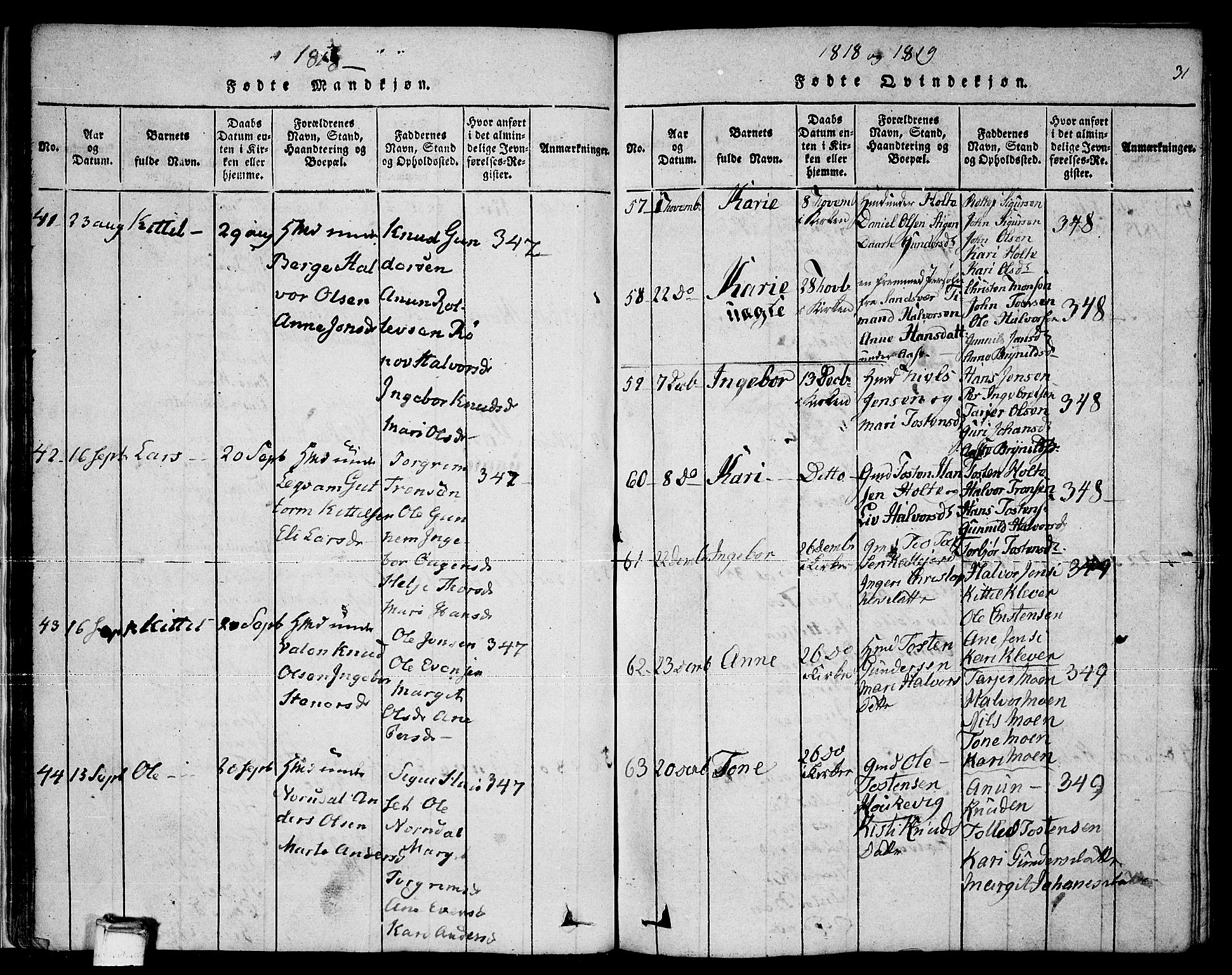 Sauherad kirkebøker, SAKO/A-298/F/Fa/L0005: Parish register (official) no. I 5, 1815-1829, p. 31