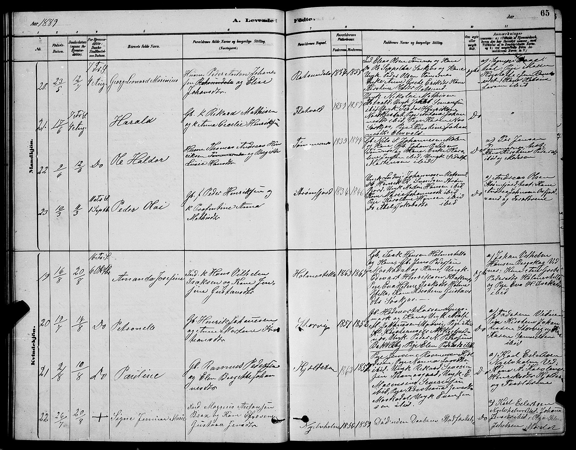 Skjervøy sokneprestkontor, AV/SATØ-S-1300/H/Ha/Hab/L0020klokker: Parish register (copy) no. 20, 1878-1892, p. 65