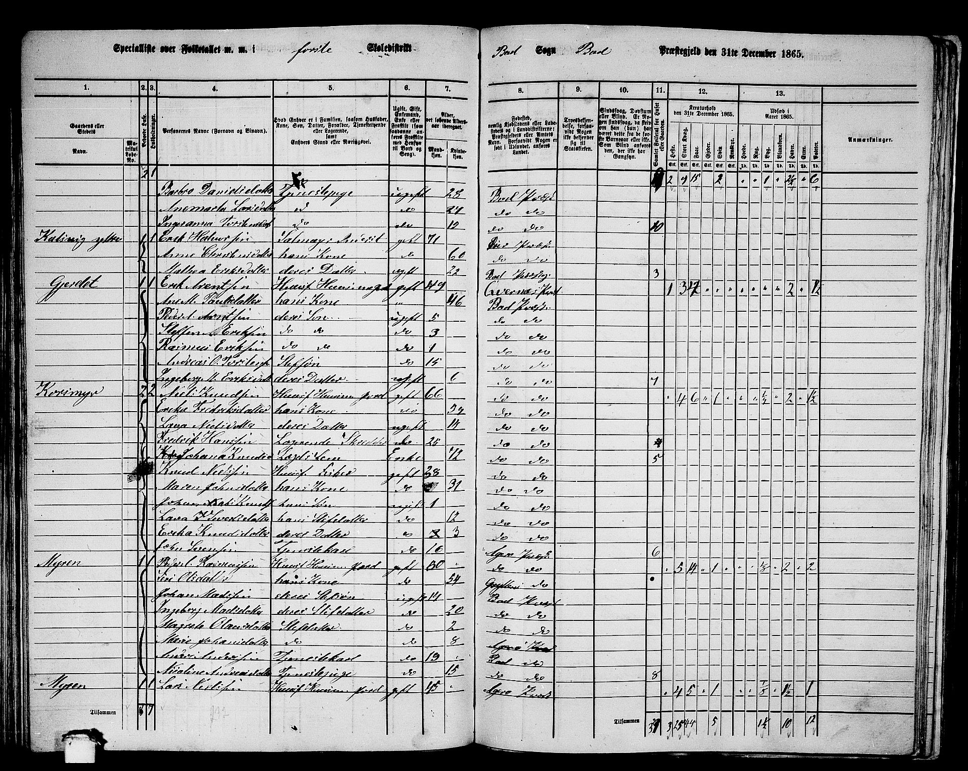 RA, 1865 census for Bud, 1865, p. 57