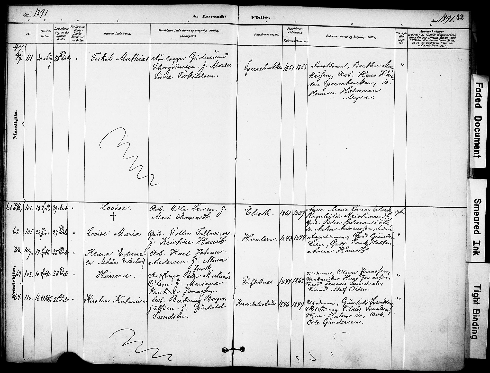 Solum kirkebøker, AV/SAKO-A-306/F/Fa/L0010: Parish register (official) no. I 10, 1888-1898, p. 42