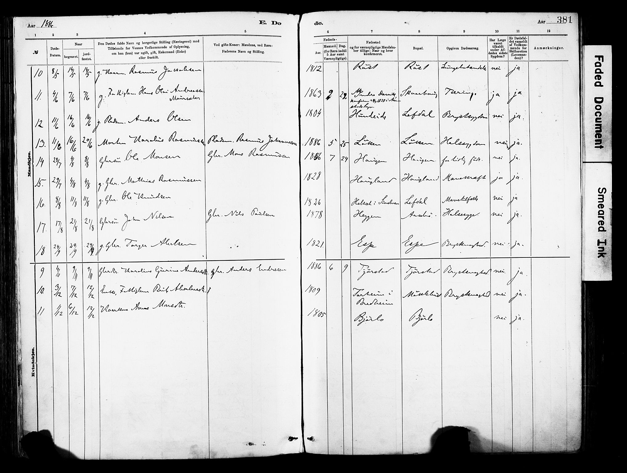 Eid sokneprestembete, AV/SAB-A-82301/H/Haa/Haab/L0001: Parish register (official) no. B 1, 1879-1906, p. 381