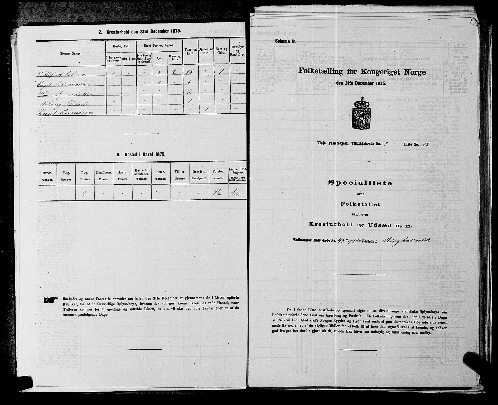 SAKO, 1875 census for 0834P Vinje, 1875, p. 241