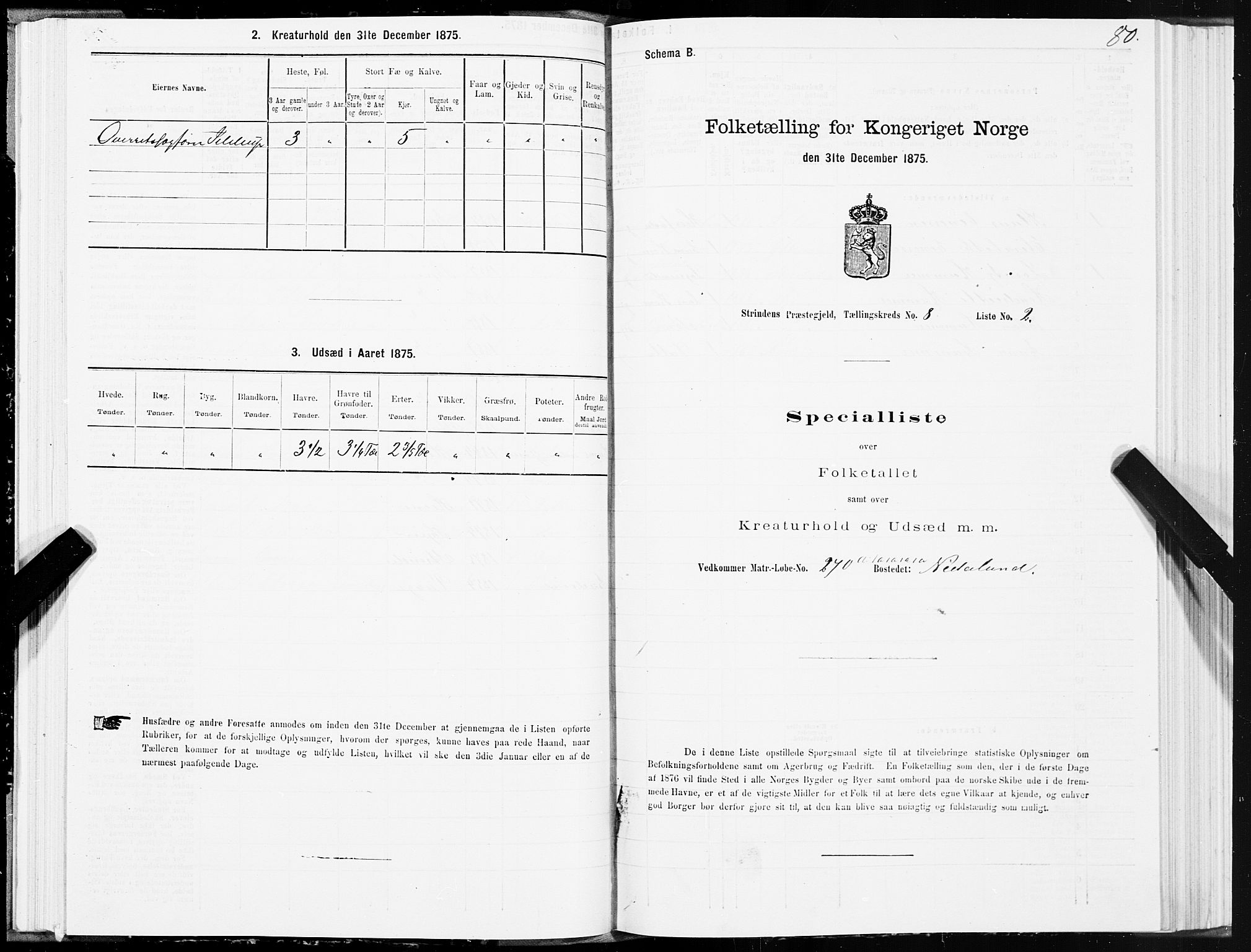 SAT, 1875 census for 1660P Strinda, 1875, p. 4080