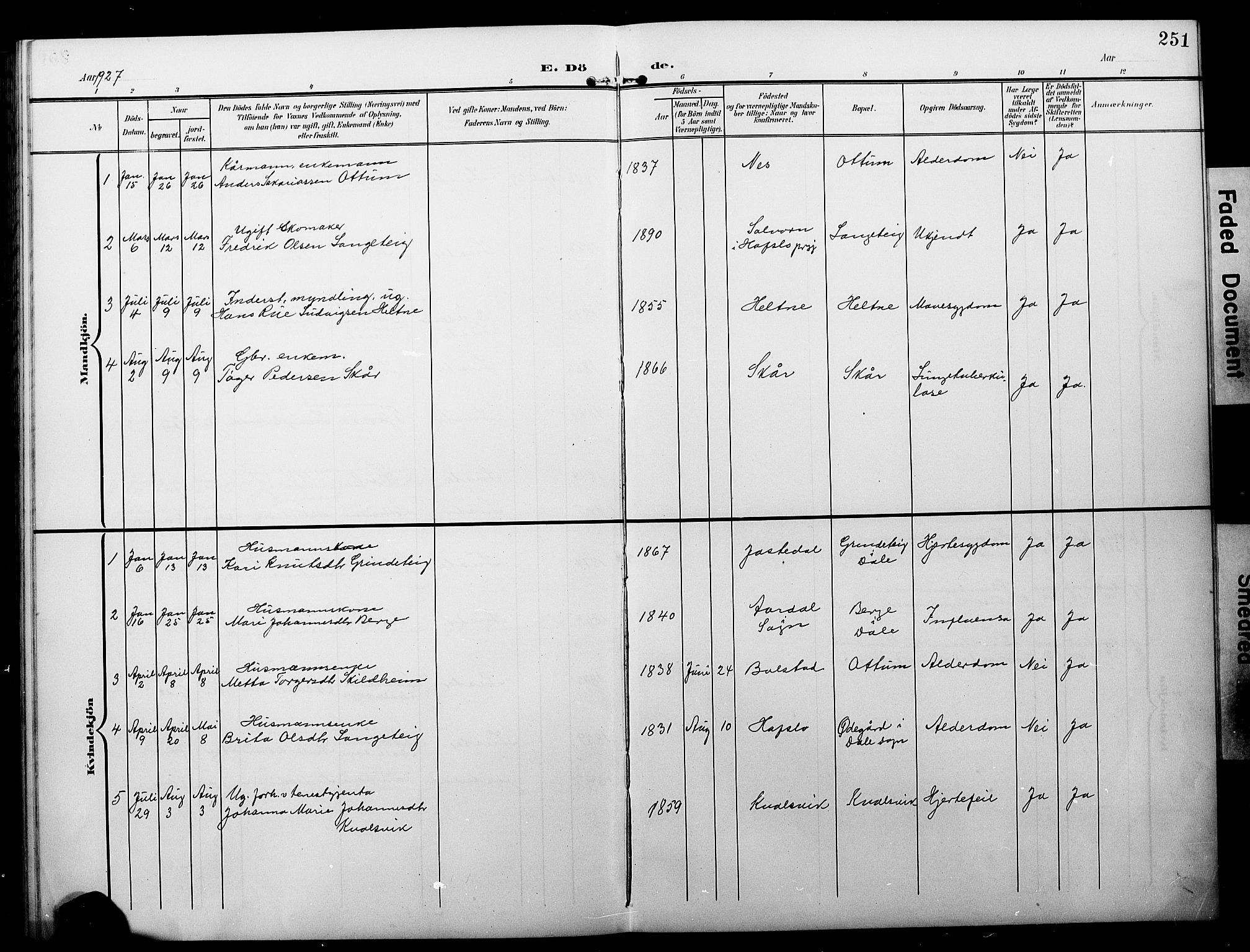 Luster sokneprestembete, AV/SAB-A-81101/H/Hab/Haba/L0001: Parish register (copy) no. A 1, 1903-1930, p. 251