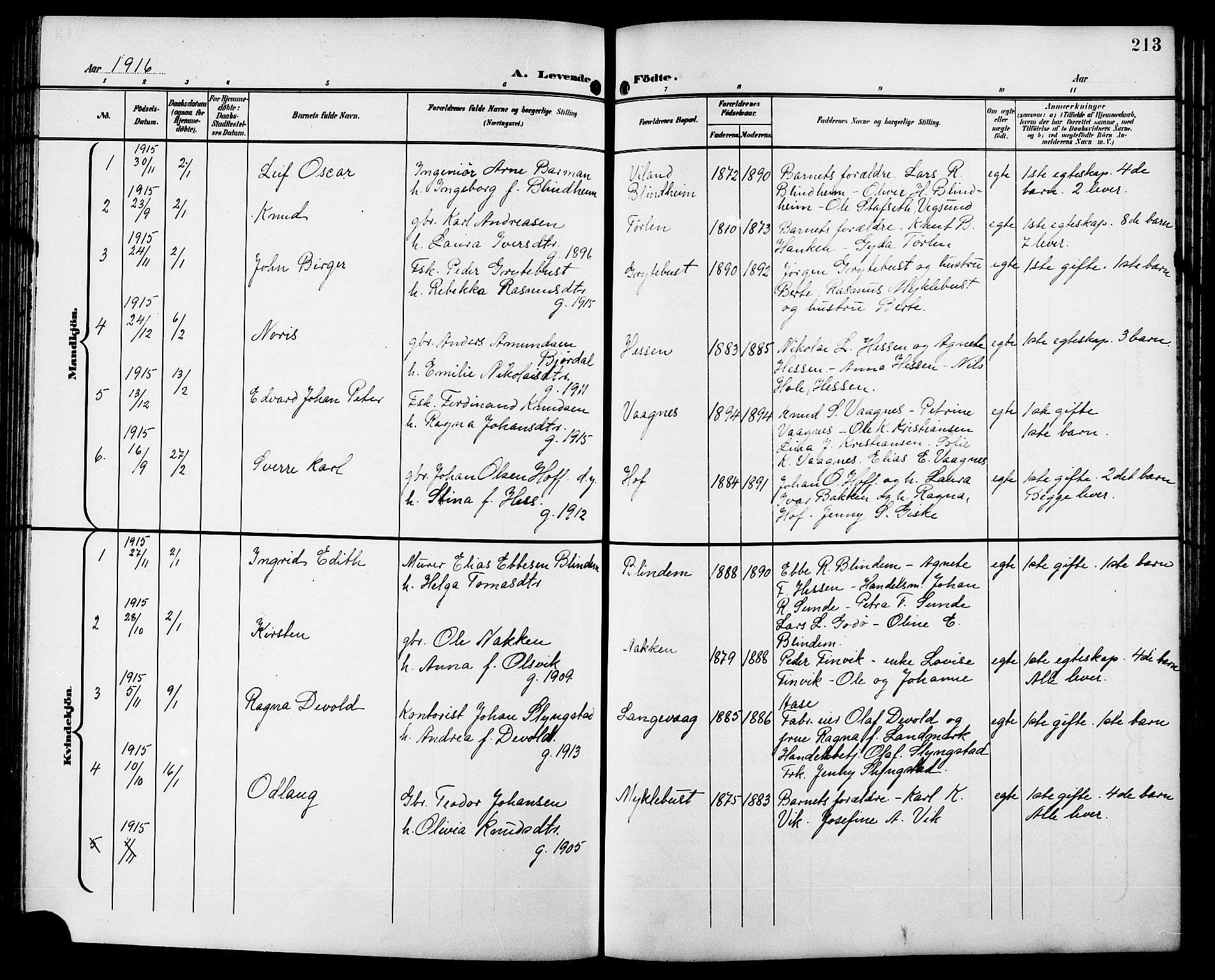 Ministerialprotokoller, klokkerbøker og fødselsregistre - Møre og Romsdal, SAT/A-1454/528/L0432: Parish register (copy) no. 528C13, 1898-1918, p. 213