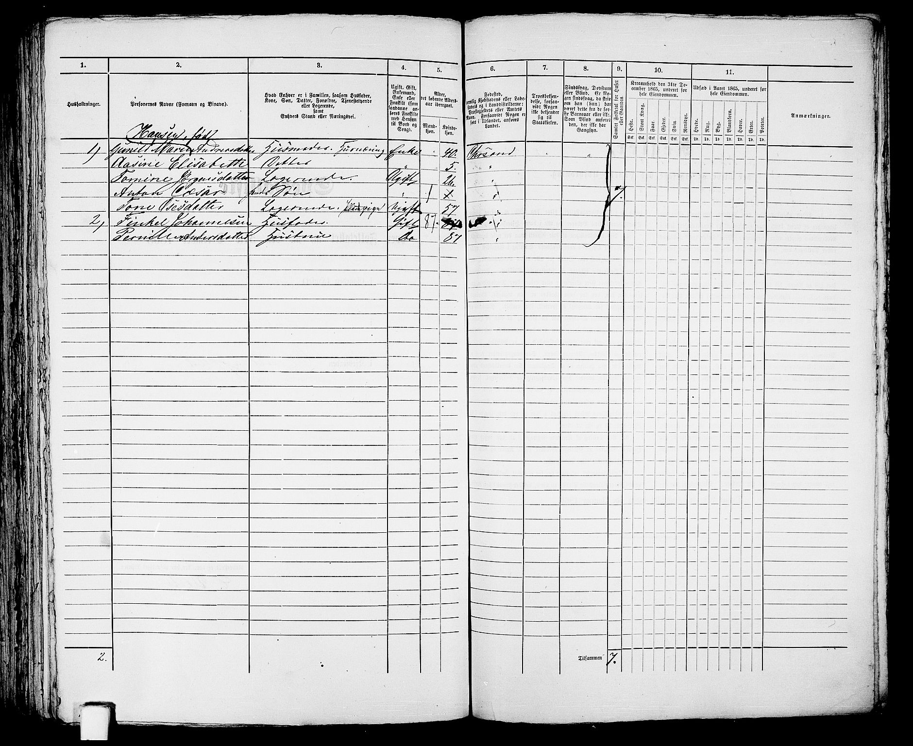 RA, 1865 census for Kristiansand, 1865, p. 1962