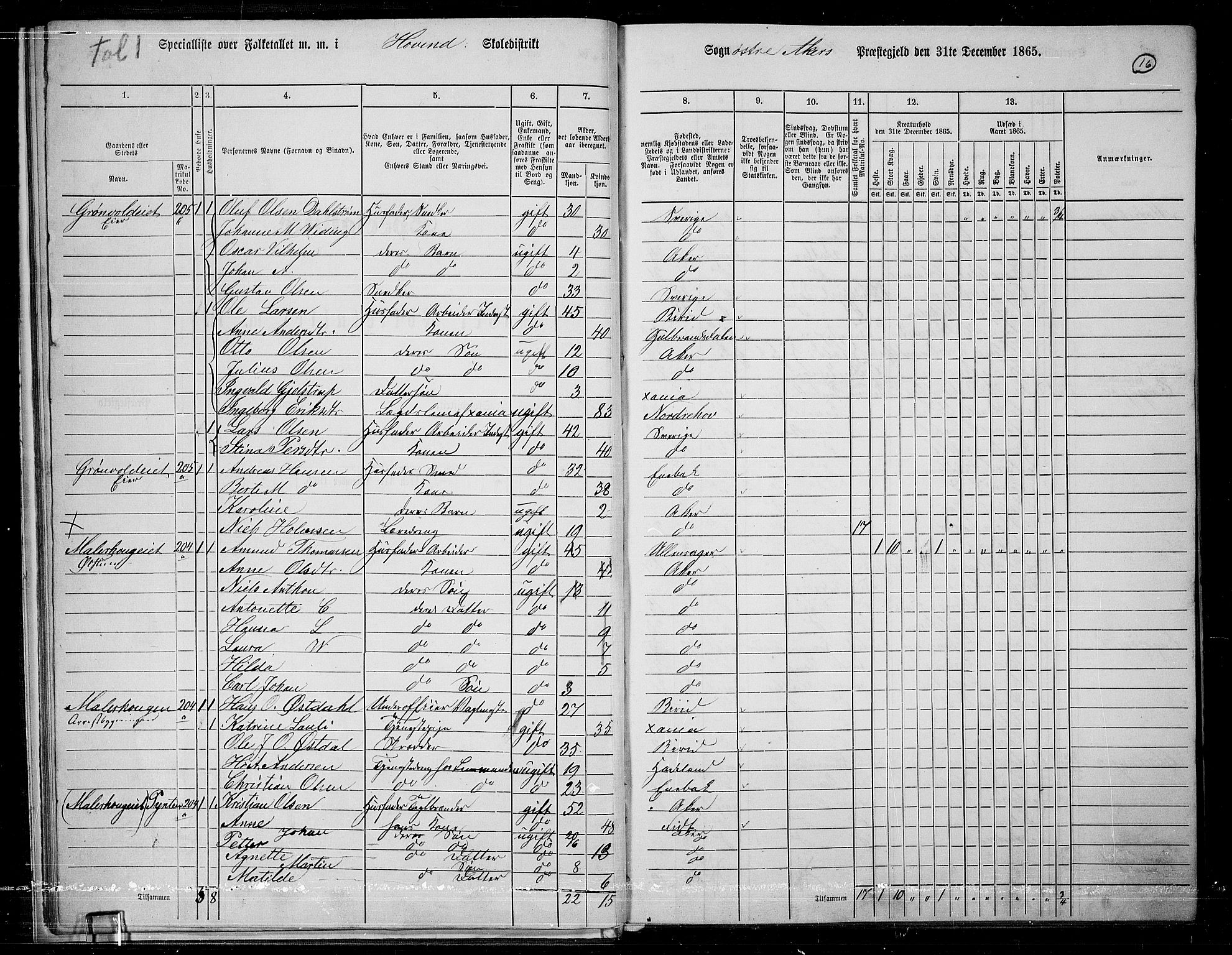 RA, 1865 census for Østre Aker, 1865, p. 240