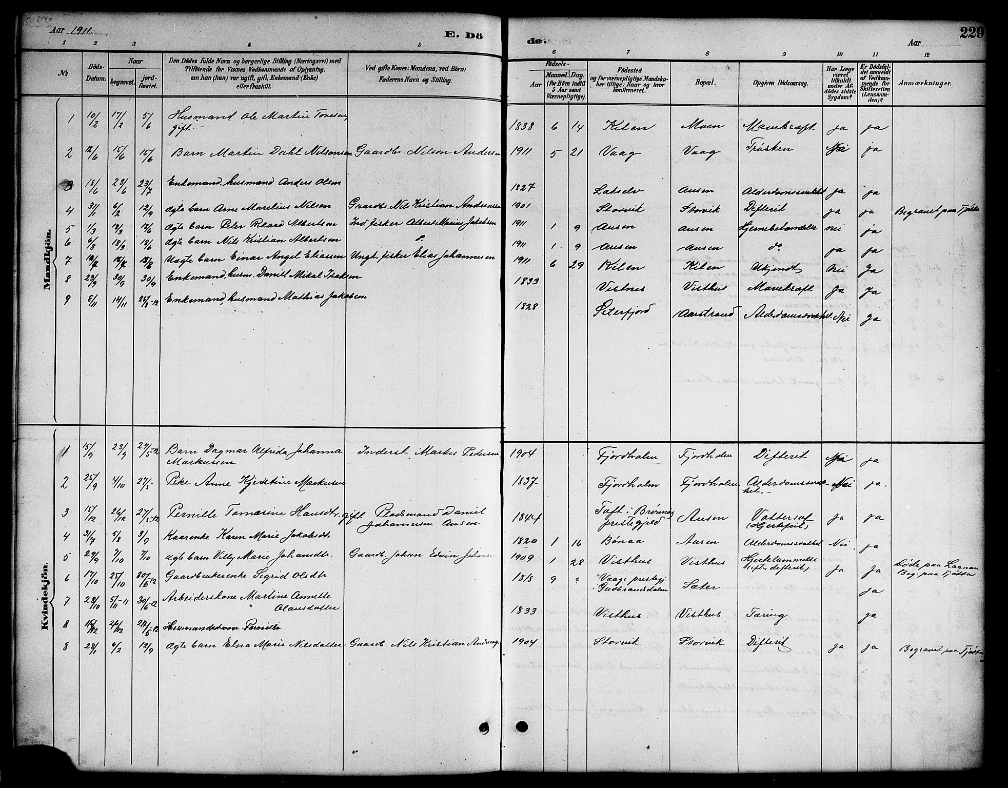 Ministerialprotokoller, klokkerbøker og fødselsregistre - Nordland, AV/SAT-A-1459/819/L0277: Parish register (copy) no. 819C03, 1888-1917, p. 229