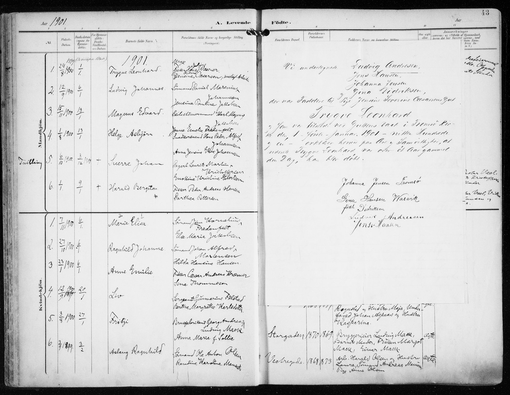 Tromsø sokneprestkontor/stiftsprosti/domprosti, AV/SATØ-S-1343/G/Ga/L0016kirke: Parish register (official) no. 16, 1899-1906, p. 43