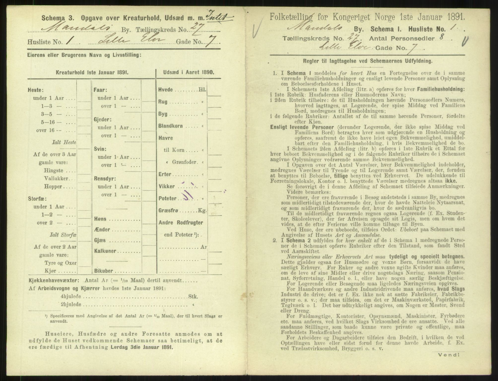 RA, 1891 census for 1002 Mandal, 1891, p. 1195