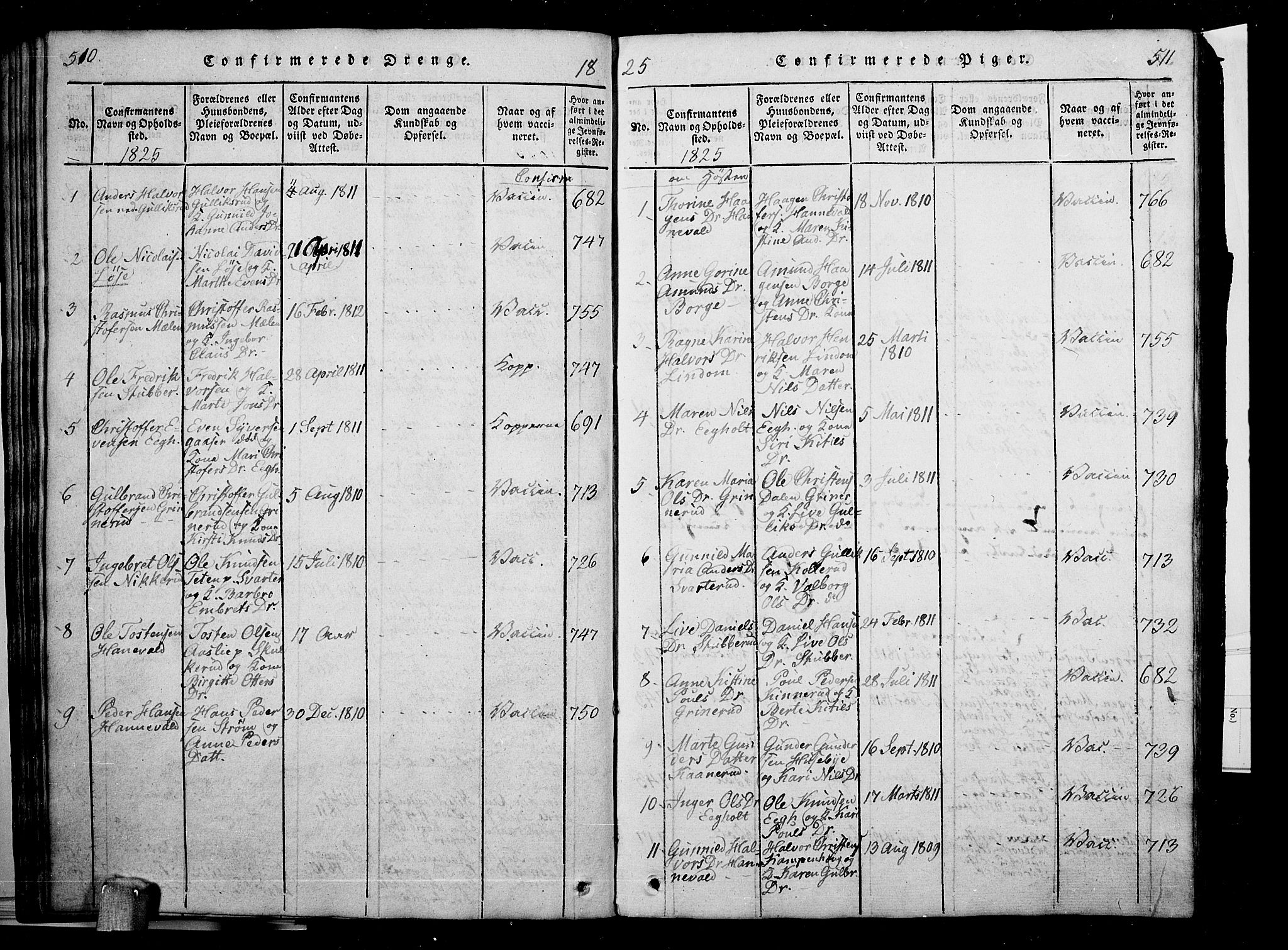 Skoger kirkebøker, AV/SAKO-A-59/G/Ga/L0001: Parish register (copy) no. I 1, 1814-1845, p. 510-511