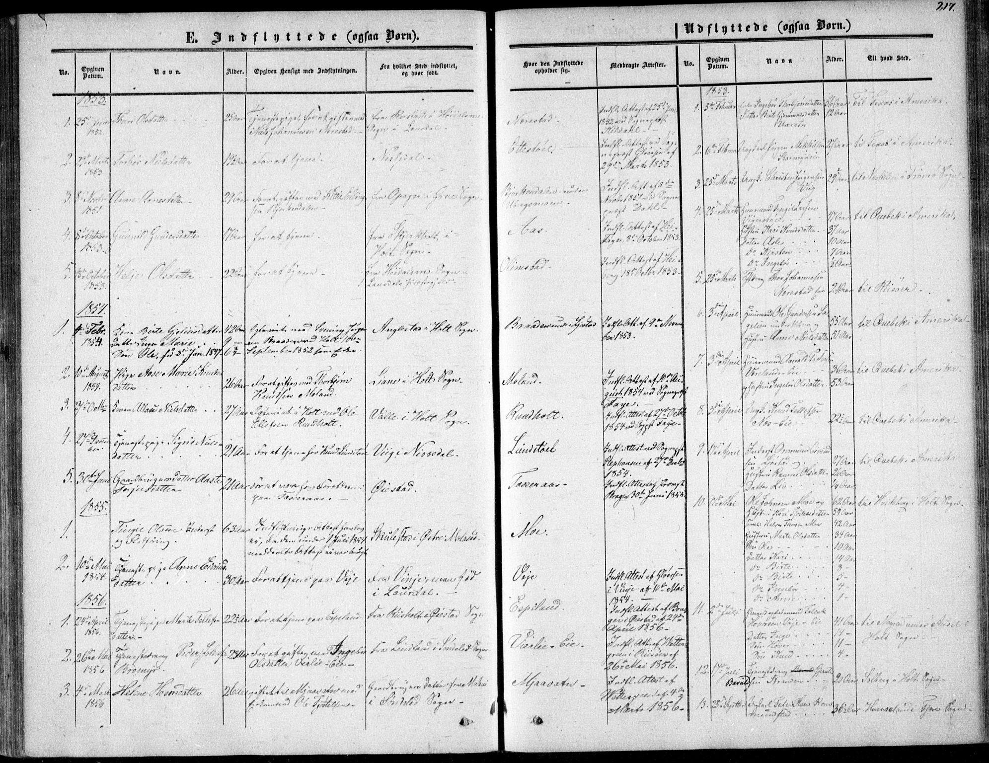 Gjerstad sokneprestkontor, SAK/1111-0014/F/Fa/Fab/L0003: Parish register (official) no. A 3, 1853-1878, p. 217