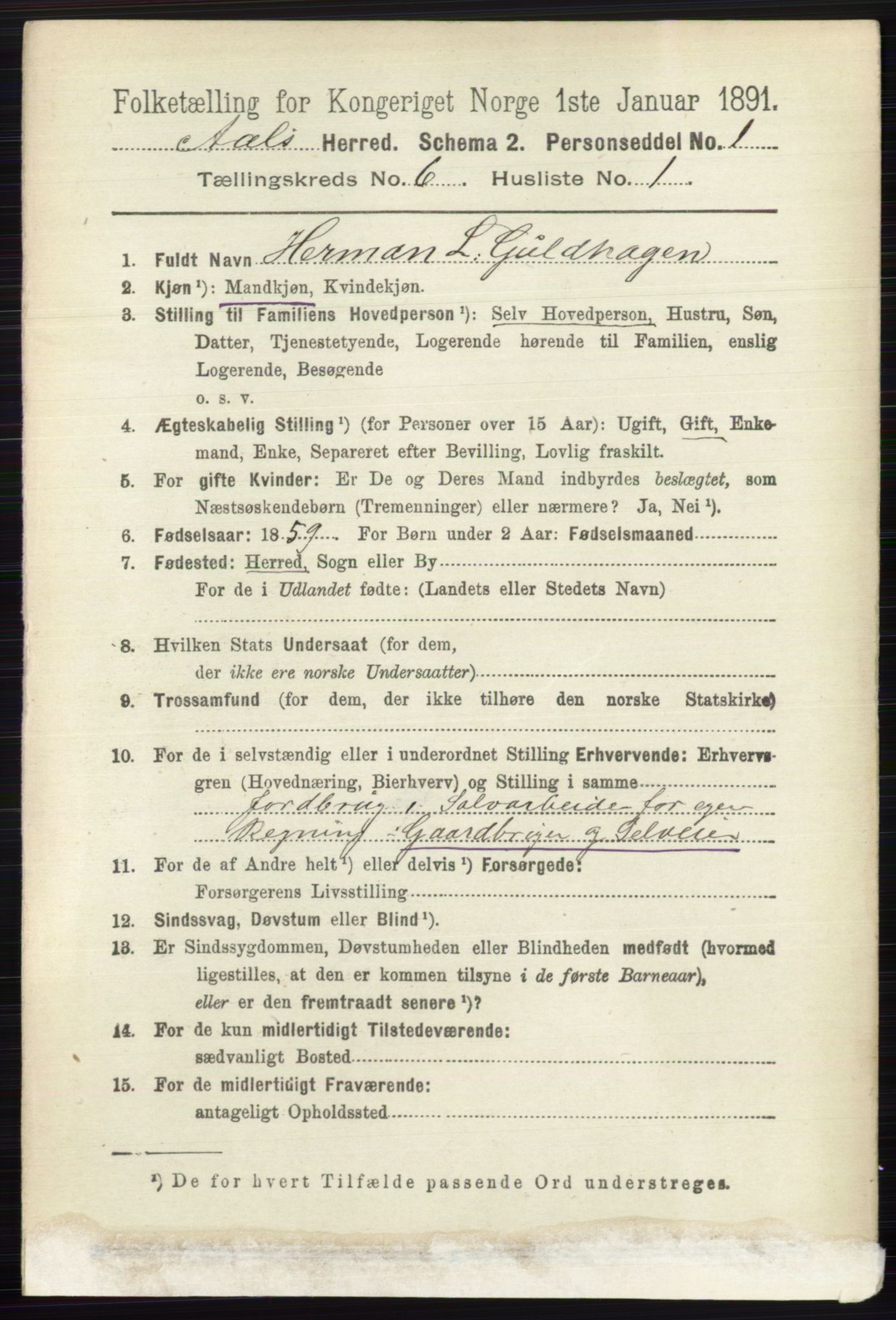 RA, 1891 census for 0619 Ål, 1891, p. 1521