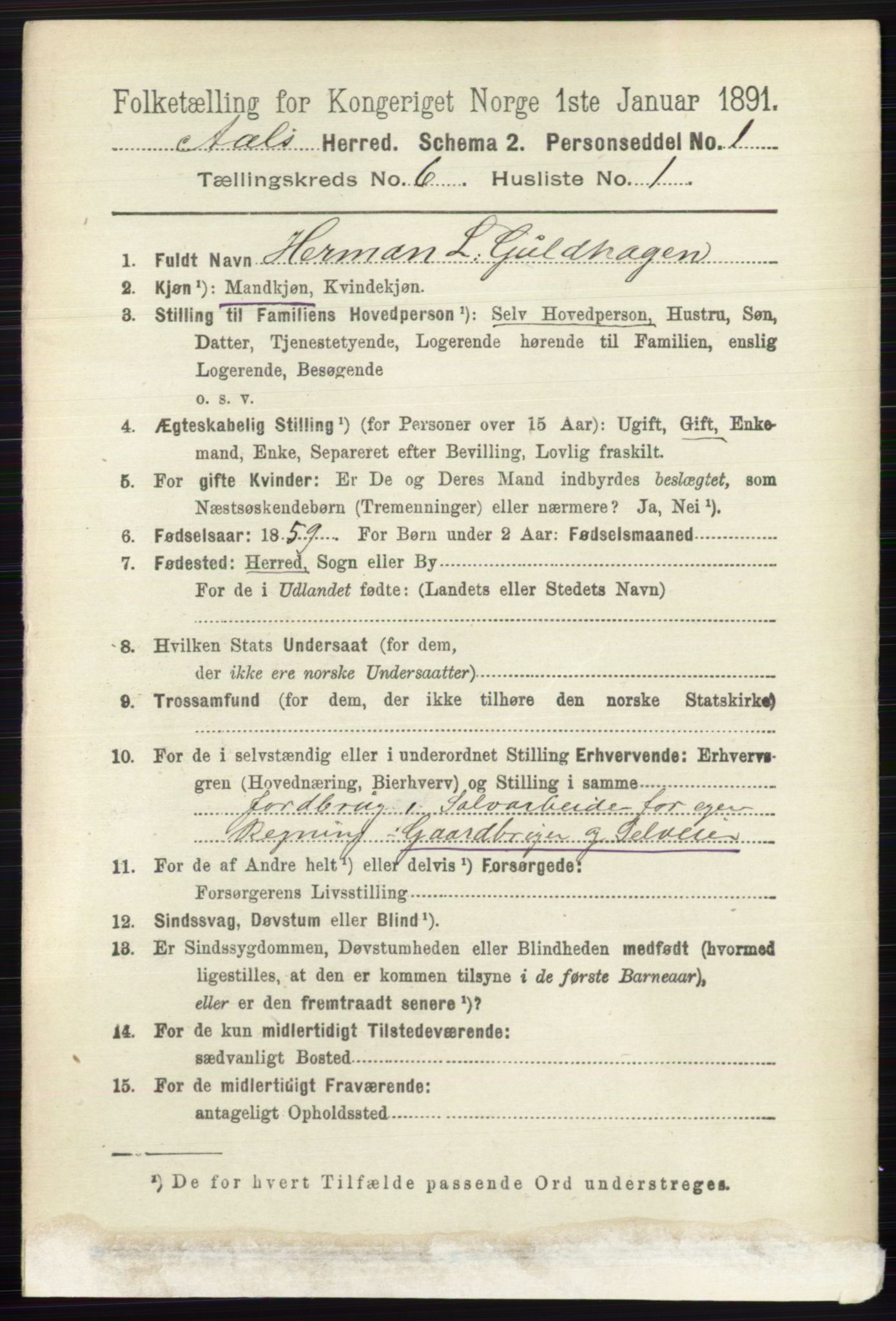 RA, 1891 census for 0619 Ål, 1891, p. 1521