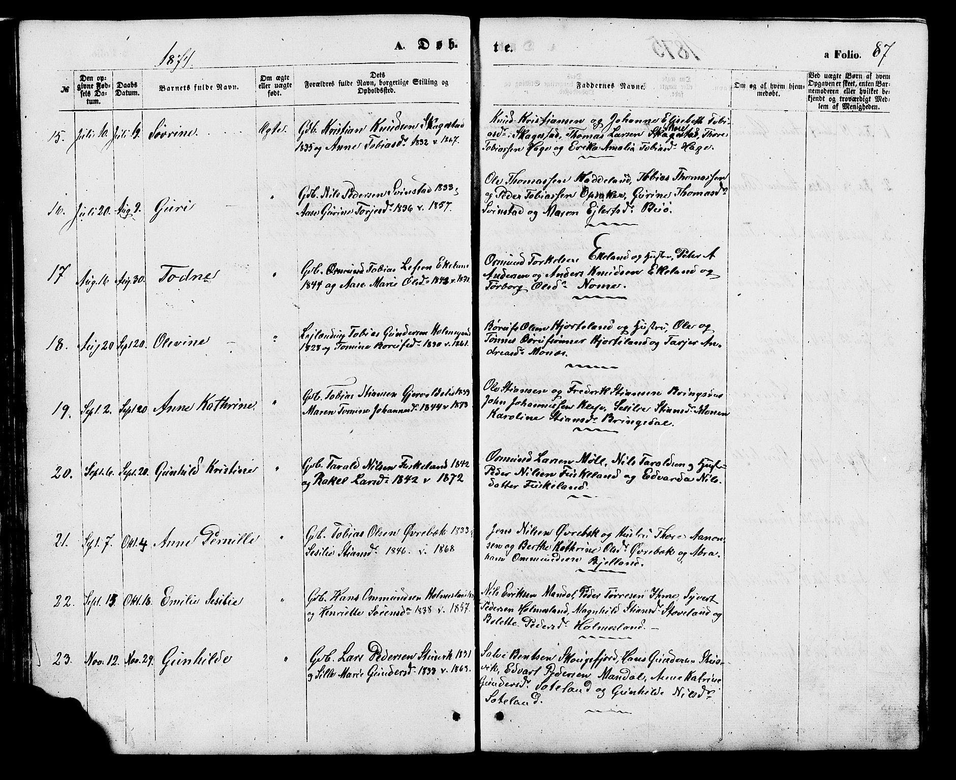 Holum sokneprestkontor, AV/SAK-1111-0022/F/Fb/Fba/L0004: Parish register (copy) no. B 4, 1867-1890, p. 87