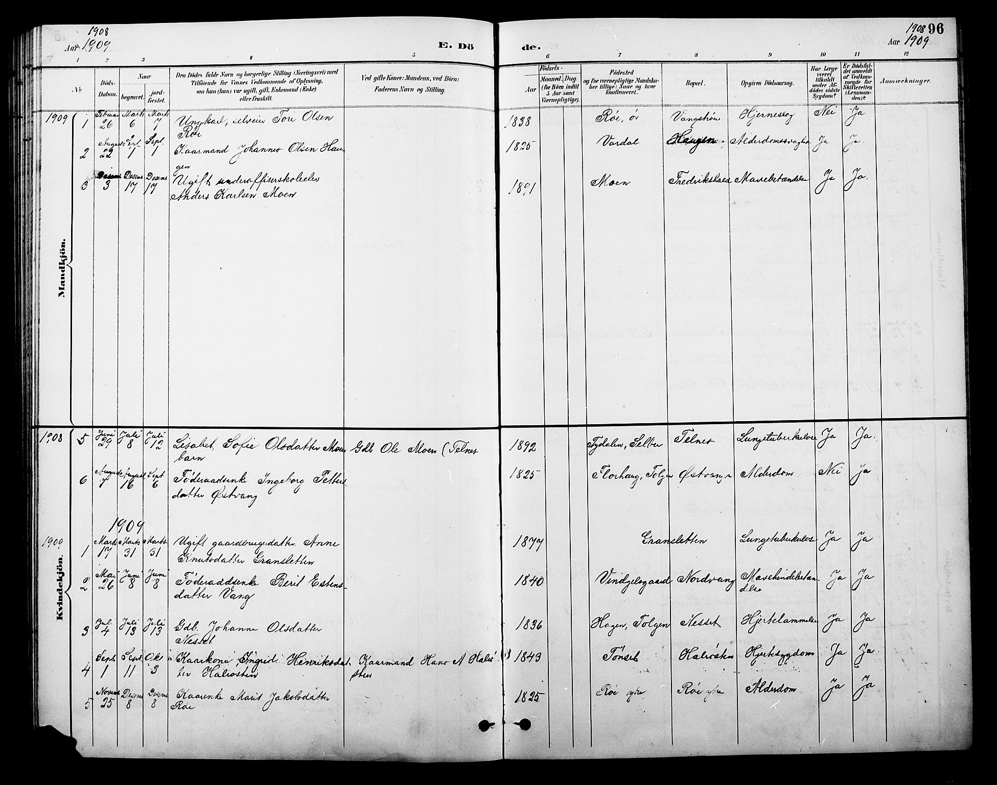 Tolga prestekontor, AV/SAH-PREST-062/L/L0010: Parish register (copy) no. 10, 1894-1918, p. 96