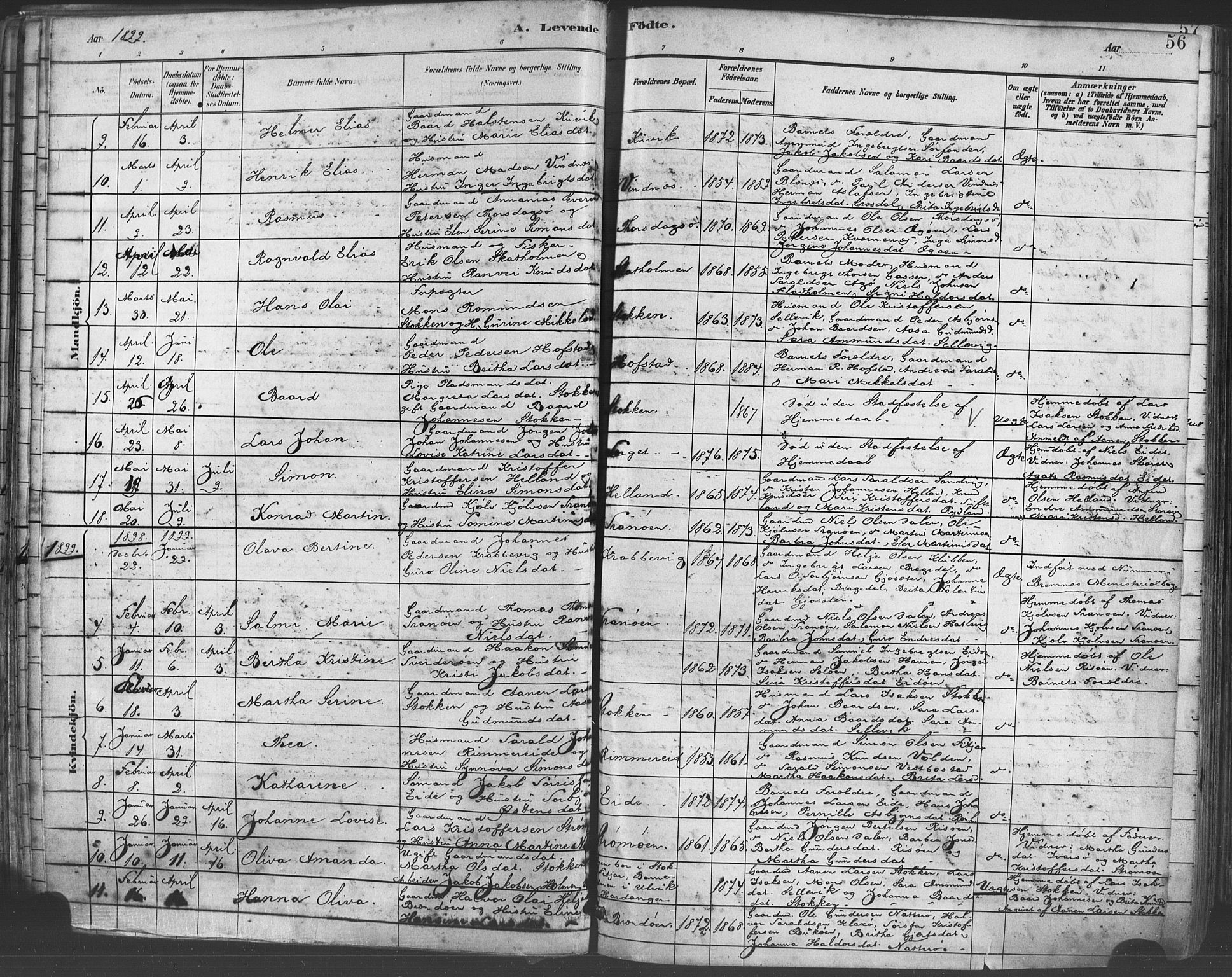 Fitjar sokneprestembete, AV/SAB-A-99926: Parish register (official) no. A 2, 1882-1899, p. 56