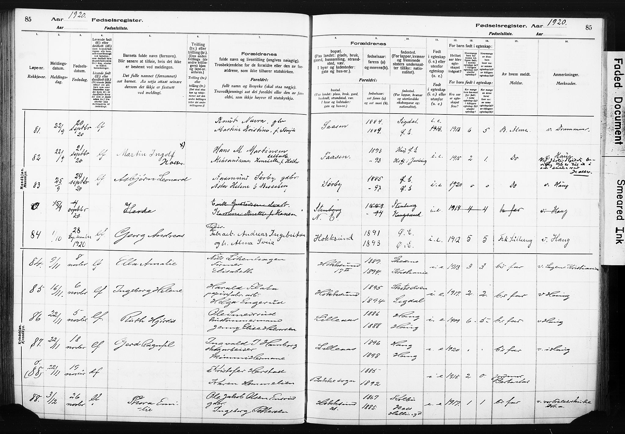 Eiker kirkebøker, SAKO/A-4/J/Ja/L0001: Birth register no. 1, 1916-1927, p. 85