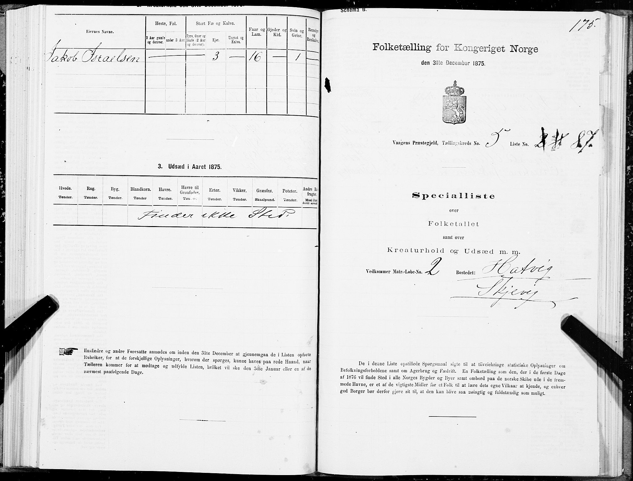 SAT, 1875 census for 1865P Vågan, 1875, p. 4175