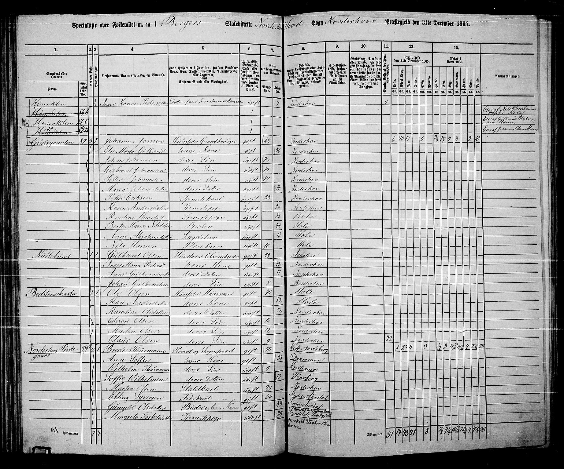 RA, 1865 census for Norderhov/Norderhov, Haug og Lunder, 1865, p. 87