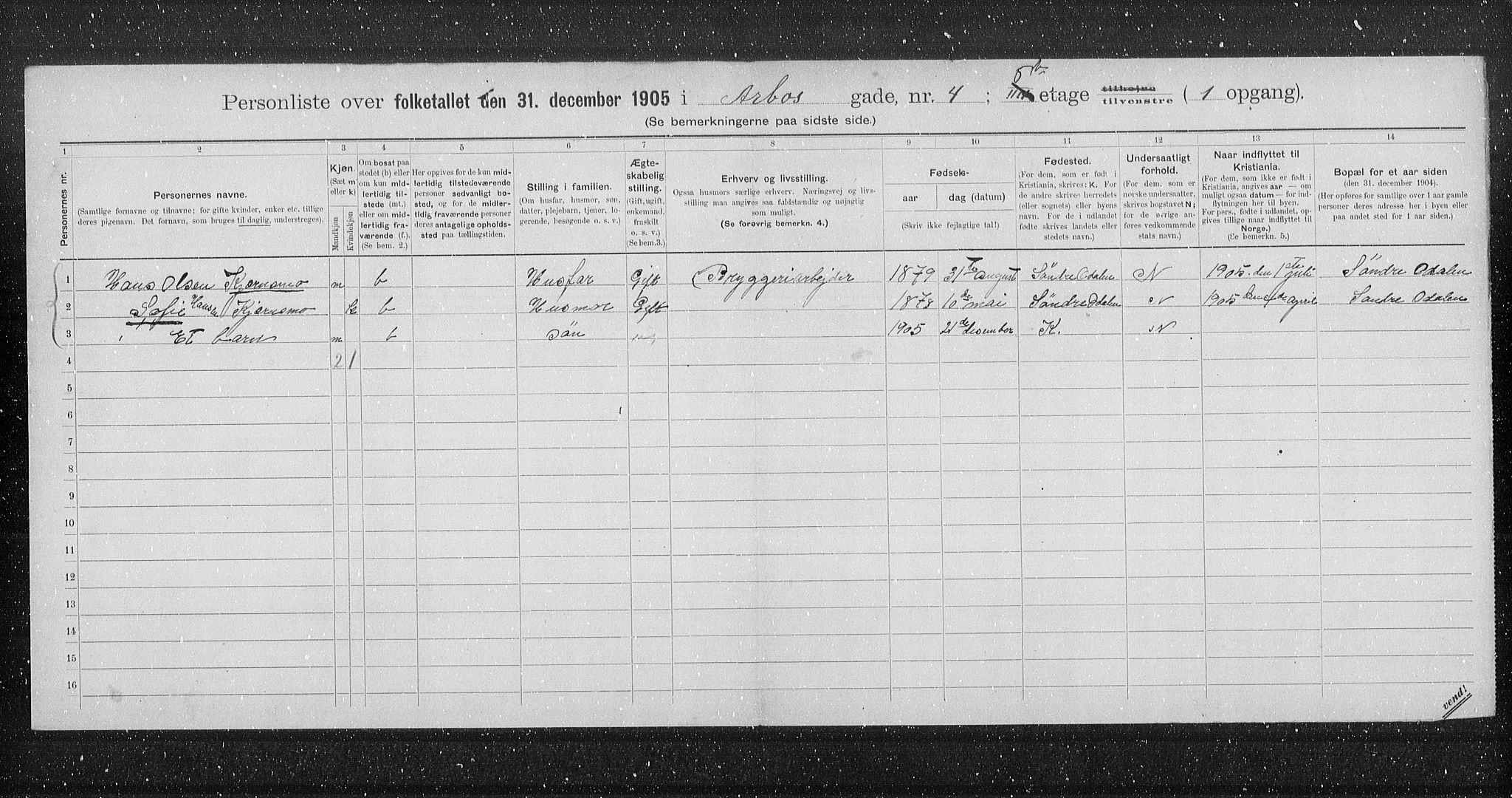 OBA, Municipal Census 1905 for Kristiania, 1905, p. 1020