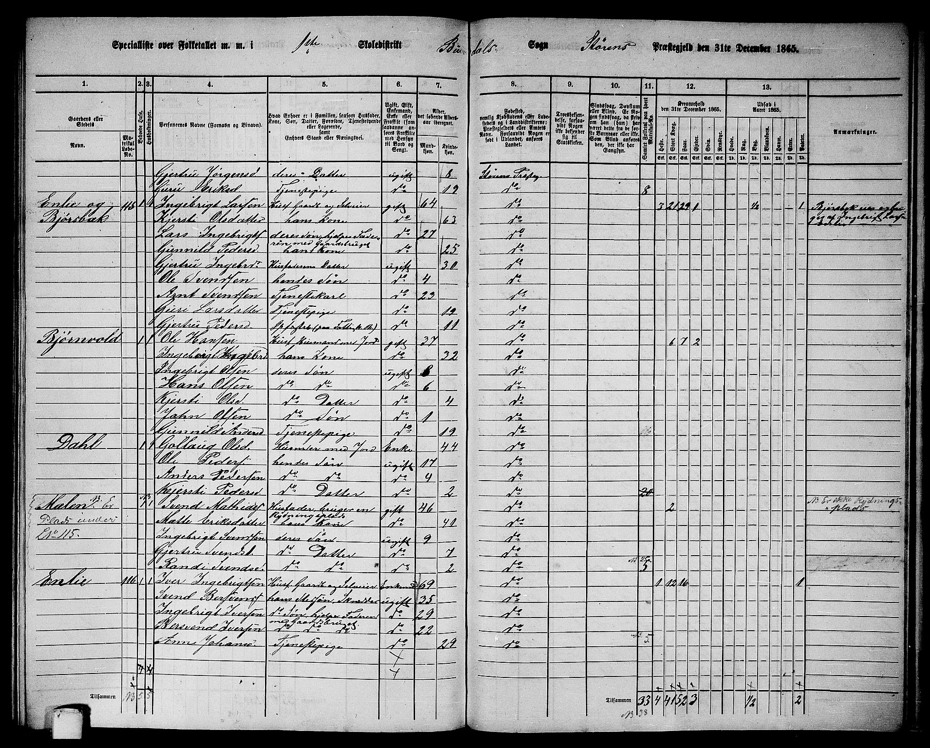 RA, 1865 census for Støren, 1865, p. 303