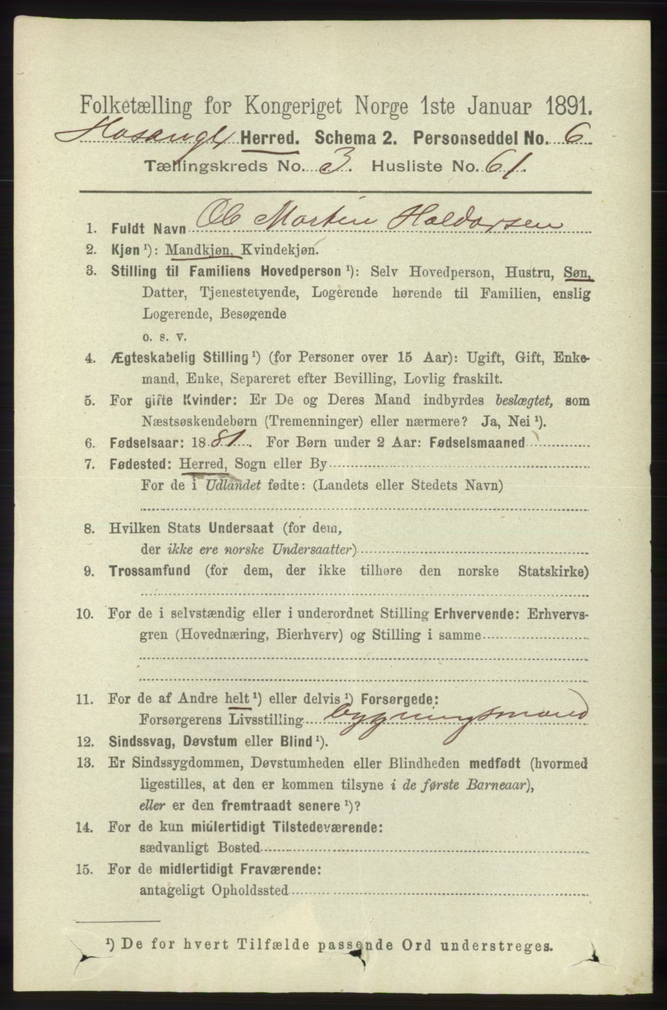 RA, 1891 census for 1253 Hosanger, 1891, p. 1386