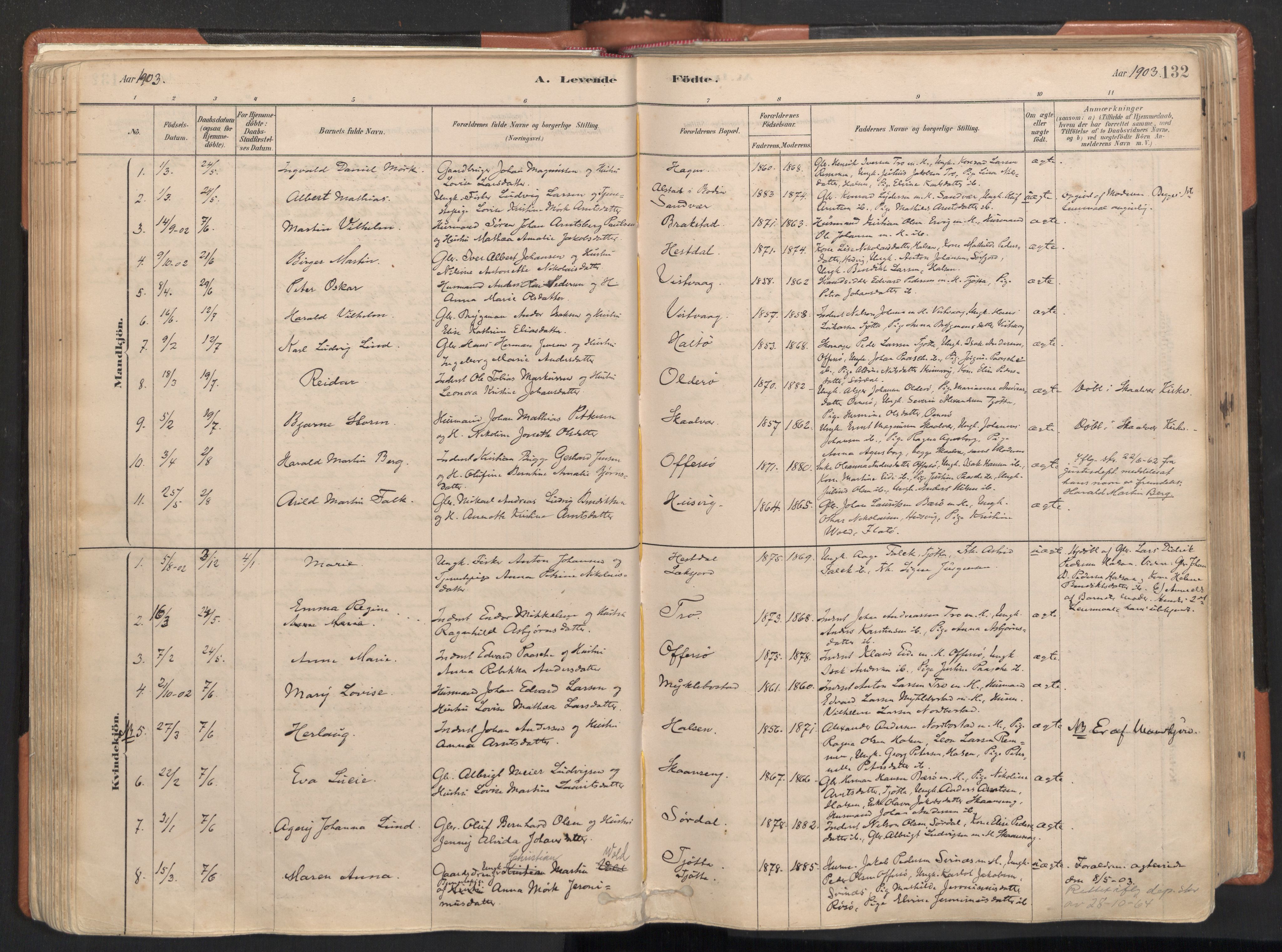 Ministerialprotokoller, klokkerbøker og fødselsregistre - Nordland, SAT/A-1459/817/L0264: Parish register (official) no. 817A04, 1878-1907, p. 132