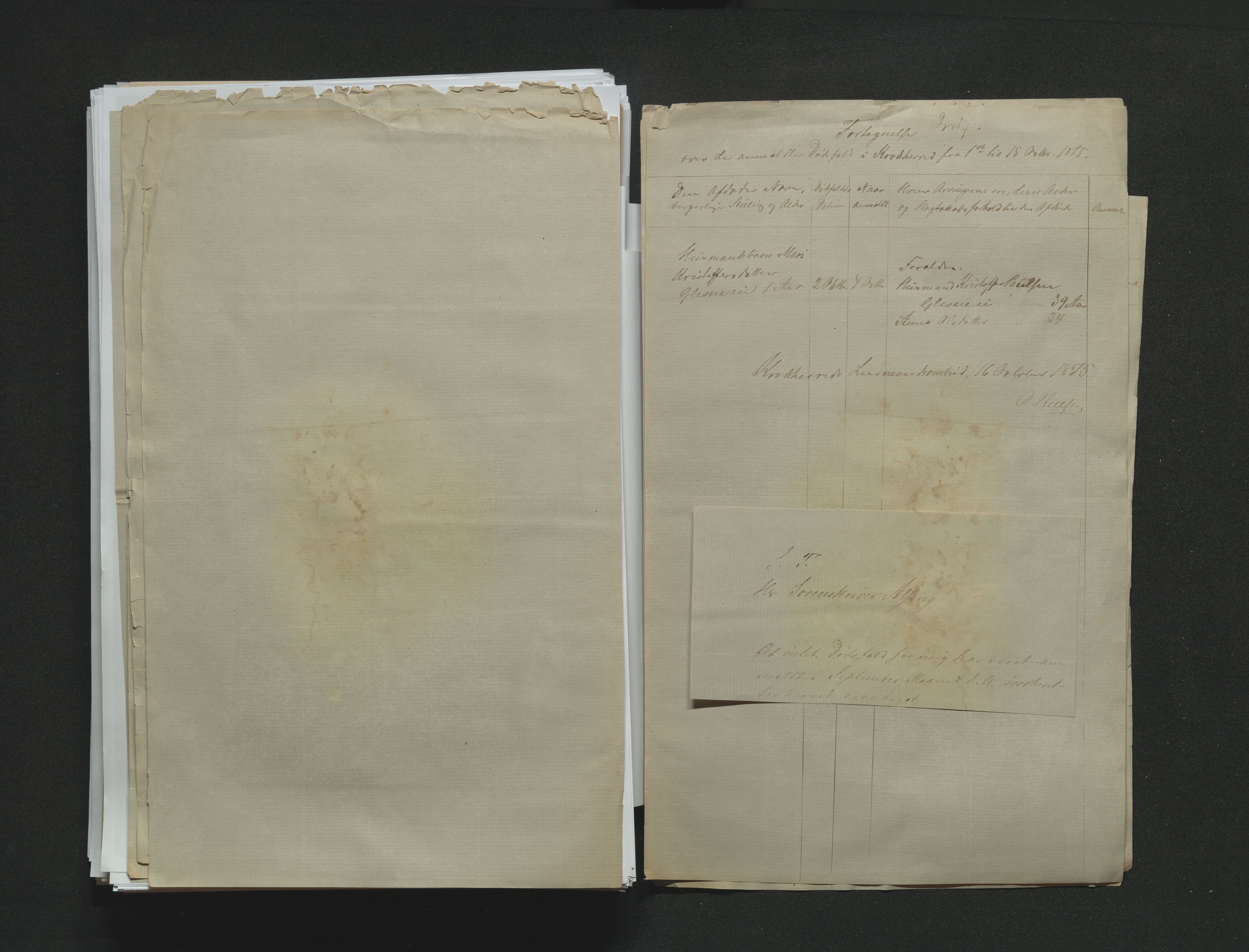 Eiker, Modum og Sigdal sorenskriveri, AV/SAKO-A-123/H/Ha/Hab/L0014: Dødsfallsmeldinger, 1874-1877, p. 345